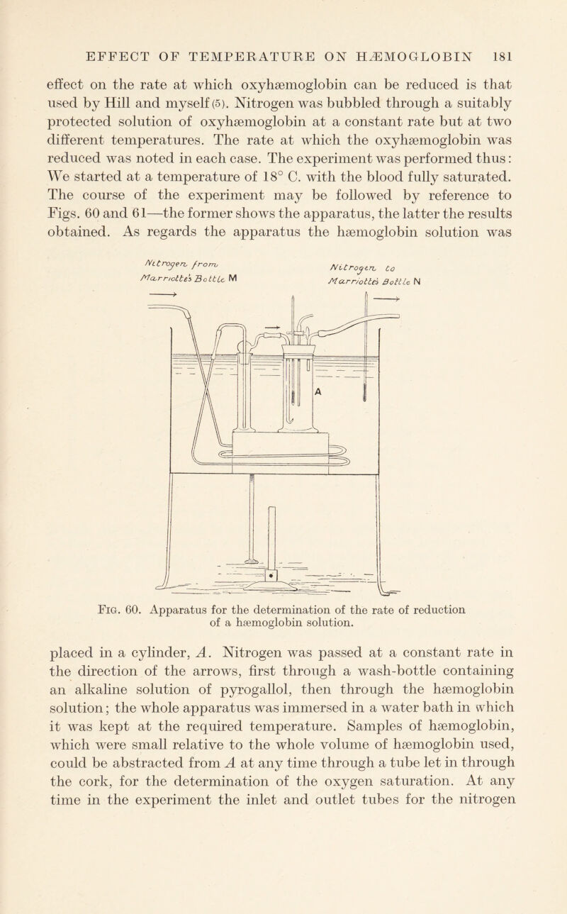 effect on the rate at which oxyhaemoglobin can be reduced is that used by Hill and myself (5). Nitrogen was bubbled through a suitably protected solution of oxyhaemoglobin at a constant rate but at two different temperatures. The rate at which the oxyhaemoglobin was reduced was noted in each case. The experiment was performed thus: We started at a temperature of 18° C. with the blood fully saturated. The course of the experiment may be followed by reference to Figs. 60 and 61—the former shows the apparatus, the latter the results obtained. As regards the apparatus the haemoglobin solution was mtrojen. from, NUrojen, Co Atccrmottes Bottle M At urr/ottes Bottle N Fig. 60. Apparatus for the determination of the rate of reduction of a haemoglobin solution. placed in a cylinder, A. Nitrogen was passed at a constant rate in the direction of the arrows, first through a wash-bottle containing an alkaline solution of pyrogallol, then through the haemoglobin solution; the whole apparatus was immersed in a water bath in which it was kept at the required temperature. Samples of haemoglobin, which were small relative to the whole volume of haemoglobin used, could be abstracted from A at any time through a tube let in through the cork, for the determination of the oxygen saturation. At any time in the experiment the inlet and outlet tubes for the nitrogen