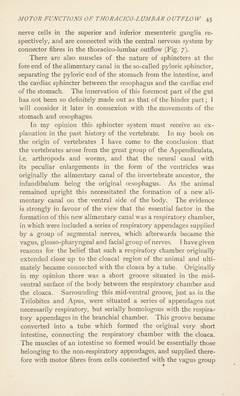 nerve cells in the superior and inferior mesenteric ganglia re¬ spectively, and are connected with the central nervous system by connector fibres in the thoracico-lumbar outflow (Fig. 7). There are also muscles of the nature of sphincters at the fore end of the alimentary canal in the so-called pyloric sphincter, separating the pyloric end of the stomach from the intestine, and the cardiac sphincter between the oesophagus and the cardiac end of the stomach. The innervation of this foremost part of the gut has not been so definitely made out as that of the hinder part; I will consider it later in connexion with the movements of the stomach and oesophagus. In my opinion this sphincter system must receive an ex¬ planation in the past history of the vertebrate. In my book on the origin of vertebrates I have come to the conclusion that the vertebrates arose from the great group of the Appendiculata, i.e. arthropods and worms, and that the neural canal with its peculiar enlargements in the form of the ventricles was originally the alimentary canal of the invertebrate ancestor, the infundibulum being the original oesophagus. As the animal remained upright this necessitated the formation of a new ali¬ mentary canal on the ventral side of the body. The evidence is strongly in favour of the view that the essential factor in the formation of this new alimentary canal was a respiratory chamber, in which were included a series of respiratory appendages supplied by a group of segmental nerves, which afterwards became the vagus, glosso-pharyngeal and facial group of nerves. I have given reasons for the belief that such a respiratory chamber originally extended close up to the cloacal region of the animal and ulti¬ mately became connected with the cloaca by a tube. Originally in my opinion there was a short groove situated in the mid- ventral surface of the body between the respiratory chamber and the cloaca. Surrounding this mid-ventral groove, just as in the Trilobites and Apus, were situated a series of appendages not necessarily respiratory, but serially homologous with the respira¬ tory appendages in the branchial chamber. This groove became converted into a tube which formed the original very short intestine, connecting the respiratory chamber with the cloaca. The muscles of an intestine so formed would be essentially those belonging to the non-respiratory appendages, and supplied there¬ fore with motor fibres from cells connected with the vagus group