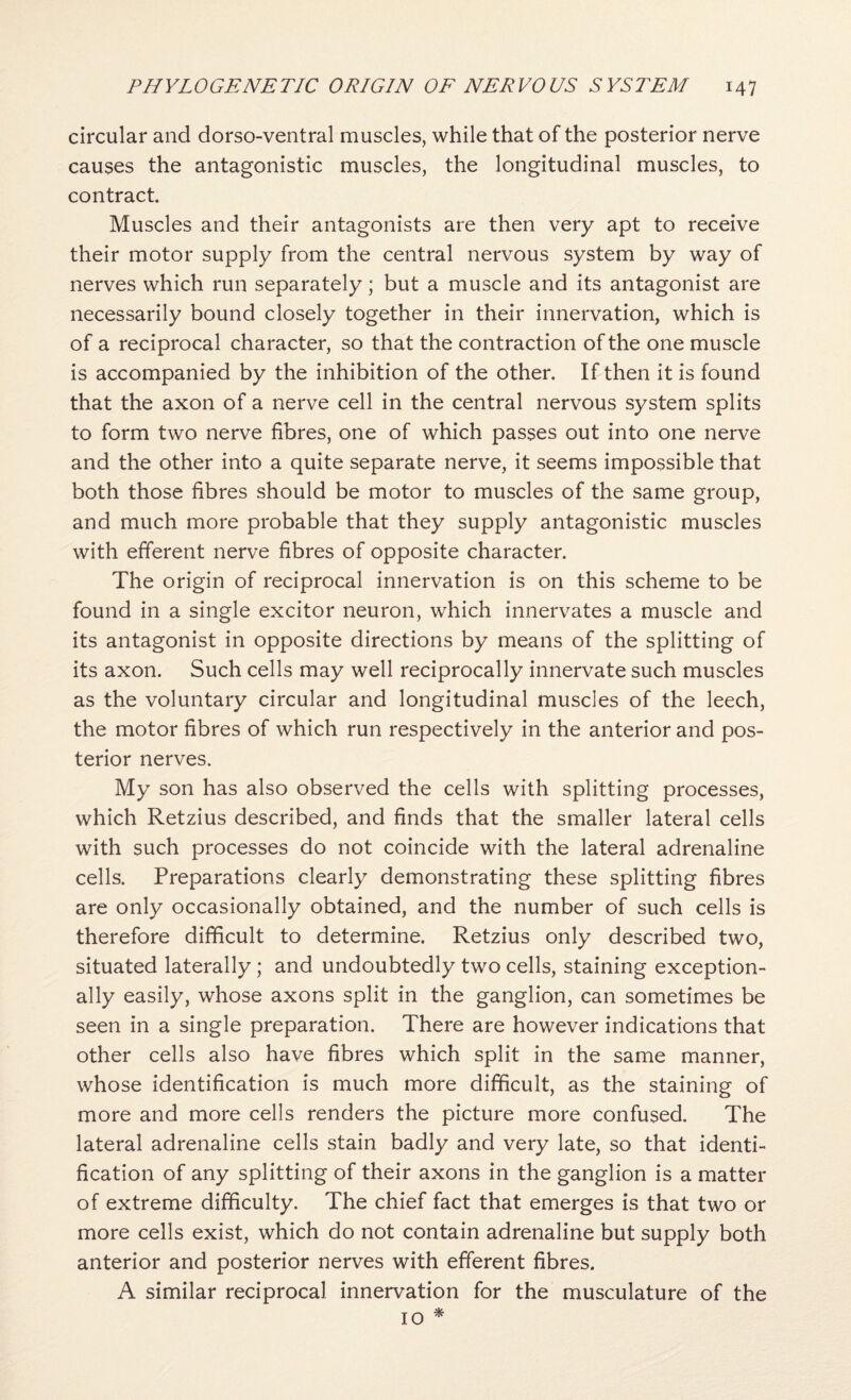 circular and dorso-ventral muscles, while that of the posterior nerve causes the antagonistic muscles, the longitudinal muscles, to contract. Muscles and their antagonists are then very apt to receive their motor supply from the central nervous system by way of nerves which run separately; but a muscle and its antagonist are necessarily bound closely together in their innervation, which is of a reciprocal character, so that the contraction of the one muscle is accompanied by the inhibition of the other. If then it is found that the axon of a nerve cell in the central nervous system splits to form two nerve fibres, one of which passes out into one nerve and the other into a quite separate nerve, it seems impossible that both those fibres should be motor to muscles of the same group, and much more probable that they supply antagonistic muscles with efferent nerve fibres of opposite character. The origin of reciprocal innervation is on this scheme to be found in a single excitor neuron, which innervates a muscle and its antagonist in opposite directions by means of the splitting of its axon. Such cells may well reciprocally innervate such muscles as the voluntary circular and longitudinal muscles of the leech, the motor fibres of which run respectively in the anterior and pos¬ terior nerves. My son has also observed the cells with splitting processes, which Retzius described, and finds that the smaller lateral cells with such processes do not coincide with the lateral adrenaline cells. Preparations clearly demonstrating these splitting fibres are only occasionally obtained, and the number of such cells is therefore difficult to determine. Retzius only described two, situated laterally; and undoubtedly two cells, staining exception¬ ally easily, whose axons split in the ganglion, can sometimes be seen in a single preparation. There are however indications that other cells also have fibres which split in the same manner, whose identification is much more difficult, as the staining of more and more cells renders the picture more confused. The lateral adrenaline cells stain badly and very late, so that identi¬ fication of any splitting of their axons in the ganglion is a matter of extreme difficulty. The chief fact that emerges is that two or more cells exist, which do not contain adrenaline but supply both anterior and posterior nerves with efferent fibres. A similar reciprocal innervation for the musculature of the 10 *
