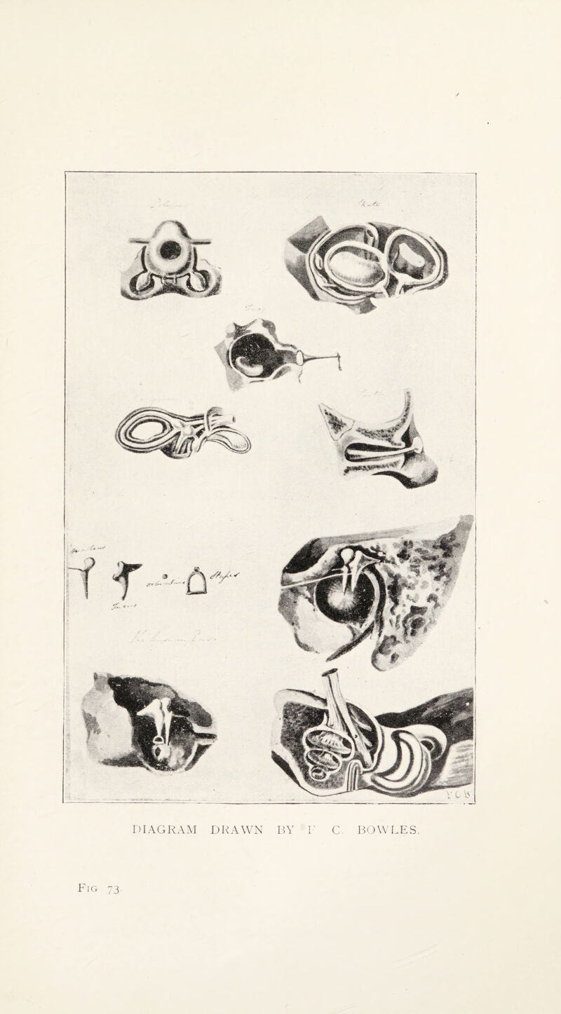 DIAGRAM DRAWN BY L C. BOWLES. Fig 73.