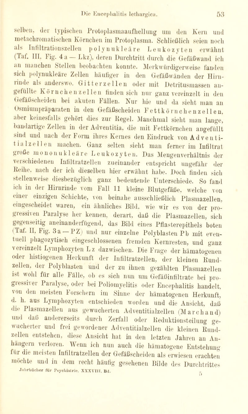 selben, der typischen Protoplasmaaufliellnng uni den Kern und metachromatischen Körnchen im Protoplasma. Schließlich seien noch als Infiltrationszellen polynukleäre Leukozyten erwähnt (Tai. III, Fig. 4a — Lkz). deren Durchtritt durch die Gefäßwand ich •ui manchen Stellen beobachten konnte. Merkwürdigerweise fanden sich polynukleäre Zellen häufiger in den Gefäßwänden der Hiru- 1 inde als anderswo. Gitter zellen oder mit Detritusmassen au- ganz vereinzelt in den gefüllte Körnchenzellen finden sich n Gefäßscheiden bei akuten Fällen. Nur hie und da sieht man an Osmiumpräparaten in den Gefäßscheiden Fettkörnchenzellen, aber keinesfalls gehört dies zur Kegel. Manchmal sieht man lange, bandartige Zellen in der Adventitia, die mit Fettkörnchen angefüllt sind und nach der Form ihres Kernes den Eindruck vouAdventi- tialzell en machen. Ganz selten sieht man ferner im Infiltrat gioße mono nukleäre Leukozyten. Das Mengenverhältnis der verschiedenen Infiltratzellen zueinander entspricht ungefähr der Reihe, nach der ich dieselben hier erwähnt habe. Doch finden sich stellenweise diesbezüglich ganz bedeutende Unterschiede. So fand ich in der Hirnrinde vom Fall 11 kleine Blutgefäße, welche von < int i einzigen Schichte, von beinahe ausschließlich Plasmazellen. < ingescheidet waren, ein ähnliches Bild, wie wir es von der pro- gieoshen I aralyse her kennen, derart, daß die Plasmazellen, sich gegenseitig aneinanderfügend, das Bild eines Pflasterepithels boten iTaf. II. Fig. 3a —PZj und nur einzelne Polyblasteu Pb mit even¬ tuell phagozytisch eingeschlossenen fremden Kernresten, und ganz vereinzelt Lymphozyten L z dazwischen. Die Frage der hämatogenen oder histiogenen Herkunft der Infiltratzellen, der kleinen Kund¬ zellen, der Polyblasten und der zu ihnen gezählten Plasmazellen ist wohl für alle Fälle, ob es sich nun um Gefäßinfiltrate bei pro¬ gressiver Paralyse, oder bei Poliomyelitis oder Encephalitis handelt, vou '^eu meisten Forschern im Sinne der hämatogenen Herkunft, d. h. aus Lymphozyten entschieden worden und die Ansicht, daß dm Plasmazellen aus gewucherten Adventitialzellen (Marchand) und daß andererseits durch Zerfall oder Reduktionsteilung ge¬ wucherter und frei gewordener Adventitialzellen die kleinen Rund¬ zellen entstehen, diese Ansicht hat in den letzten Jahren an An¬ hängern verloren. Wenn ich nun auch die hämatogene Entstehung fiu die meisten Infiltratzellen der Gefäßscheiden als erwiesen erachten möchte und in dem recht häufig gesehenen Bilde des Durchtrittes Jahrbücher für Psychiatrie. XXXVIII. Bd.