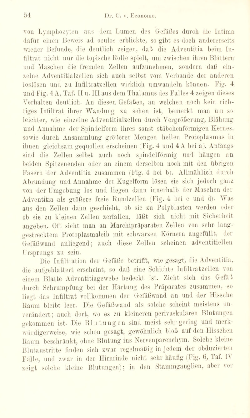 von Lymphozyten aus dem Lumen des Gefäßes durch die Intima dafür einen .Beweis ad oculos erblickte, so gibt es doch andererseits wieder Befunde, die deutlich zeigen, daß die Adveutitia beim In¬ filtrat nicht nur die topische Rolle spielt, um zwischen ihren Blättern und Maschen die fremden Zellen aufzunehmen, sondern daß ein¬ zelne Adventitialzellen sich auch selbst vom Verbände der anderen loslösen und zu Infiltratzellen wirklich umwandeln können. Fig. 4 und Fig. 4 A, Tat'. II u. III aus dem Thalamus des Falles 4 zeigen dieses Verhalten deutlich. An diesen Gefäßen, an welchen noch kein rich¬ tiges Infiltrat ihrer Wandung zu sehen ist, bemerkt mau um so leichter, wie einzelne Adventitialzellen durch Vergrößerung, Blähung und Annahme der Spindelform ihres sonst stäbchenförmigen Kernes, sowie durch Ansammlung größerer Mengen hellen Protoplasmas in ihnen gleichsam gequollen erscheinen (Fig. 4 und 4A bei a). Anfangs sind die Zellen selbst auch noch spindelförmig uni hängen an beiden Spitzenenden oder an einem derselben noch mit den übrigen Fasern der Adveutitia zusammen (Fig. 4 bei bj. Allmählich durch Abrundung und Annahme der Kugelform lösen sie sich jedoch ganz von der Umgebung los und liegen dann innerhalb der Maschen der Adveutitia als größere freie Rundzellen (Fig. 4 bei c und d). Was aus den Zellen dann geschieht, ob sie zu Polyblasten werden oder ob sie zu kleinen Zellen zerfallen, läßt sich nicht mit Sicherheit angeben. Oft sieht man au Marchipräparaten Zellen von sehr lang¬ gestrecktem Protoplasmaleib mit schwarzen Körnern angefüllt, der Gefäßwand anliegend; auch diese Zellen scheinen adventitielleu Ursprungs zu sein. Die Infiltration der Gefäße betrifft, wie gesagt, die Adveutitia, die aufgeblättert erscheint, so daß eine Schichte Infiltratzellen von einem Blatte Adventitiagewebe bedeckt ist. Zieht sich das Gefäß durch Schrumpfung bei der Härtung des Präparates zusammen, so liegt das Infiltrat vollkommen der Gefäßwand an und der Hissche Raum bleibt leer. Die Gefäßwand als solche scheint meistens un¬ verändert; auch dort, wo es zu kleineren perivaskulären Blutungen gekommen ist. Die Blutungen sind meist sehr gering und merk- würdigerweise, wie schon gesagt, gewöhnlich bloß auf den Hisschen Raum beschränkt, ohne Blutung ins Nervenparenchym. Solche kleine Blutaustritte finden sich zwar regelmäßig in jedem der obduzierten Fälle, und zwar in der Hirnrinde nicht sehr häufig (Fig. 6, lat. 1\ zeigt solche kleine Blutungen); in den Stammgauglien, aber vor