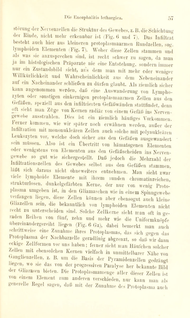 Störung der Nei venzellen die Struktur des Gewebes, z. II. die Schichtung der Kinde, nicht mehr erkennbar ist (Tig. 6 und 7). Das Infiltrat besteht auch hier aus kleineren protoplasmaarmen Kundzellen, sog. lymplioiden Elementen (Fig. 7). Woher diese Zellen stammen und als was sie anzusprechen sind, ist recht schwer zu sagen, da man ja im histologischen Präparate nie eine Entstehung, sondern immer nur ein Zustandsbild sieht, aus dem man mit mehr oder weniger W lllkürlichkeit und Wahrscheinlichkeit aus dem Nebeneinander aut ein Nacheinander schließen zu dürfen glaubt. Als ziemlich sicher kann angenommen werden, daß eine Auswanderung von Lympho¬ zyten oder sonstigen einkernigen protoplasmaarmen Zellen aus den Gefäßen, speziell aus den infiltrierten Gefäßwänden stattfindet, denn ott sieht man Züge von Kernen radiär von einem Gefäß ins Nerven- g-ewehe ausstrahlen. Dies ist ein ziemlich häufiges Vorkommen. I einer kommen, wie wir später noch erwähnen werden, außer der Iufiltiation mit mononukleären Zellen auch solche mit polynukleären Leukozyten vor, welche doch sicher aus den Gefäßen ausgewandert sein müssen. Also ist ein Übertritt von hämatogenen Elementen oder wenigstens von Elementen aus den Gefäßscheiden ins Nerven¬ gewebe so gut wie sichergestellt. Daß jedoch die Mehrzahl der Infiltrationszellen des Gewebes selbst aus den Gefäßen stammen, läßt sich daraus nicht ohueweiters entnehmen. Man sieht zwar viele lymphoide Elemente mit ihrem nmden chrom atinreichen, stiukturlosen, dunkelgefärbten Kerne, der nur von wenig Proto¬ plasma umgeben ist, in den Gliamaschen wie in einem Spinngewebe verfangen liegen, diese Zellen können aber ebensogut auclAdeine Gliazellen sein, die bekanntlich von lymplioiden Elementen nicht recht zu unterscheiden sind. Solche Zellkerne sieht man oft in ge- raden Reihen von fünf, zehn und mehr wie die Uniformknöpfe ubereinandergereiht liegen (Fig. 6 Gz), dabei bemerkt man auch .'clnittweise eine Zunahme ihres Protoplasmas, das sich gegen das Piotoplasma der Nachbarzelle geradlinig abgrenzt, so daß wir dann eckige Zell formen vor uns haben; feiner sieht man Häufchen solcher Zellen mit ebensolchen Kernen vielfach in unmittelbarer Nähe von Ganglienzellen, z. B. um die Basis der Pyramidenzellen gedrängt liegen, wo sie das von der progressiven Paralyse her bekannte Bild der G ha rasen bieten. Die Protoplasmamenge aller dieser Zellen ist von einem Element zum anderen verschieden, nur kann man als generelle Regel sagen, daß mit der Zunahme des Protoplasma auch