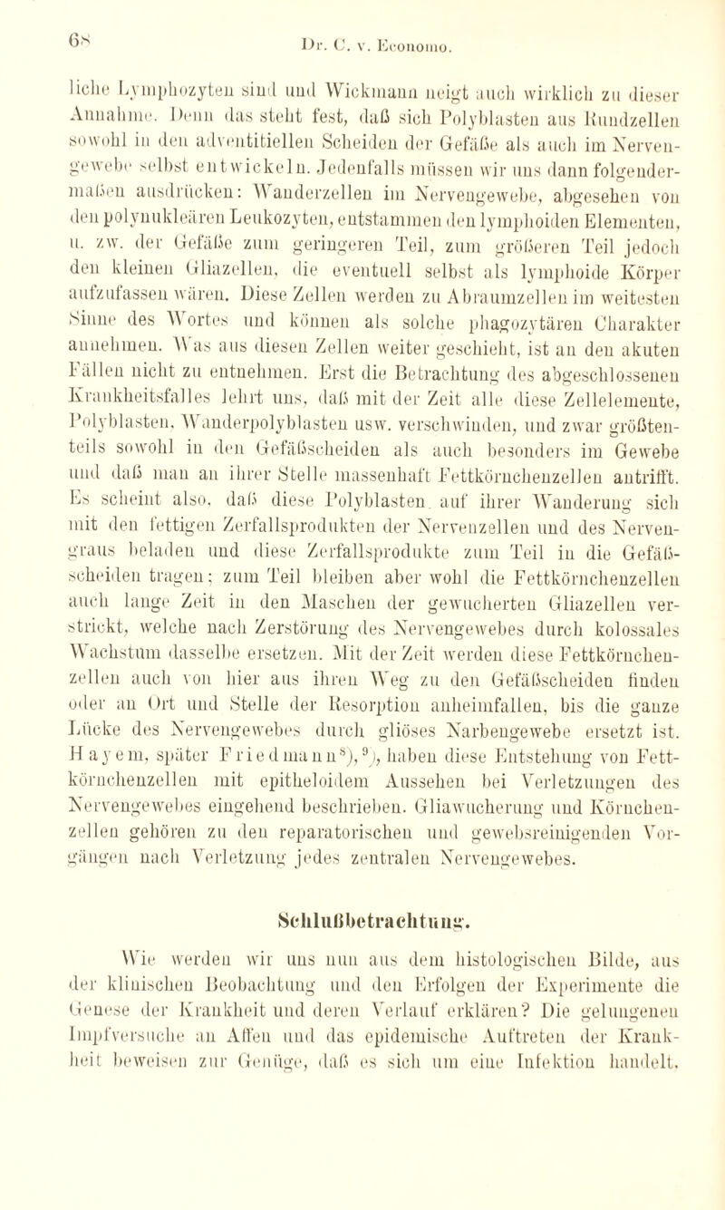 6s liehe Lymphozyten sirnl uud Wickmann neigt auch wirklich zu dieser Annahme. Denn das steht test, daß sieh Polyblasten aus Kundzellen sowohl in den adventitiellen Scheiden der Gefäße als auch im Nerven¬ gewebe selbst entwickeln. Jedenfalls müssen wir uns dann folgender¬ maßen ausdrücken: Wanderzellen im Nervengewebe, abgesehen von den polynukleären Leukozyten, entstammen den lymphoiden Elementen, u. zw. der Gefäße zum geringeren Teil, zum größeren Teil jedoch den kleinen Gliazellen, die eventuell selbst als lymphoide Körper autzufassen wären. Diese Zellen werden zu Abraumzellen im weitesten Sinne des W ortes und können als solche phagozytären Charakter annehmen. \\ as aus diesen Zellen weiter geschieht, ist an den akuten Fällen nicht zu entnehmen. Erst die Betrachtung des abgeschlossenen Krankheitsfalles lehrt uns, daß mit der Zeit alle diese Zellelemente, Polyblasten. Wanderpolyblasten usw. verschwinden, und zwar größten¬ teils sowohl in den Gefäßscheiden als auch besonders im Gewebe und daß man an ihrer Stelle massenhaft Fettkörnchenzellen antrifft. Ls scheint also, daß diese Polyblasten auf ihrer Wanderung sich mit den fettigen Zerfallsprodukten der Nervenzellen und des Nerven¬ graus beladen und diese Zerfallsprodukte zum Teil in die Gefäß¬ scheiden tragen; zum Teil bleiben aber wohl die Fettkörnchenzellen auch lange Zeit in den Maschen der gewucherten Gliazellen ver¬ strickt, welche nach Zerstörung des Nervengewebes durch kolossales Wachstum dasselbe ersetzen. Mit derZeit werden diese Fettkörnchen¬ zellen auch von hier aus ihren Weg zu den Gefäßscheiden finden oder au Ort und Stelle der Resorption anheimfallen, bis die ganze Lücke des Nervengewebes durch gliöses Narbengewebe ersetzt ist. H ayem, später Friedmann8),3), haben diese Entstehung von Fett¬ körnchenzellen mit epitheloidem Aussehen bei Verletzungen des Nervengewebes eingehend beschrieben. Gliawucherung und Köruchen- zellen gehören zu den reparatorischen und gewebsreinigenden Vor¬ gängen nach Verletzung jedes zentralen Nervengewebes. Sclilußbctraclitiiiig. Wie werden wir uns nun aus dem histologischen Bilde, aus der klinischen Beobachtung und den Erfolgen der Experimente die Genese der Krankheit und deren Verlauf erklären? Die gelungenen Impfversuche an Affen uud das epidemische Auftreten der Krank¬ heit beweisen zur Genüge, daß es sich um eine Infektion handelt.