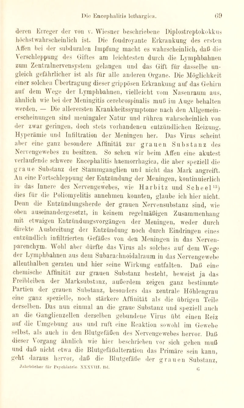 deren Erreger der von v. Wiesner beschriebene Diplostreptokokkus höchstwahrscheinlich ist. Die foudroyante Erkrankung des ersten Alten bei der subduralen Impfung macht es wahrscheinlich, daß die \ erschleppuug des Giftes am leichtesten durch die Lymphbalmen zum Zentralnervensystem gelangen und das Gift für dasselbe un¬ gleich gefährlicher ist als für alle anderen Organe. Die Möglichkeit einer solchen 1 bertragung dieser grippösen Erkrankung auf das Gehirn auf dem Wege der Lymphbalmen, vielleicht vom Nasenraum aus, ähnlich wie bei der Meningitis cerebrospinalis muß im Auge behalten werden. — Die allerersten Kraukheitssymptome nach den Allgemein- erscheinuugen sind meningaler Natur und rühren wahrscheinlich von der zwar geringen, doch stets vorhandenen entzündlichen Reizung, Hyperämie und Infiltration der Meningen her. Das Virus scheint aber eine ganz besondere Affinität zur grauen Substanz des Nervengewebes zu besitzen. So sehen wir beim Affen eine akutest verlaufende schwere Encephalitis haemorrhagica, die aber speziell die graue Substanz der Stammganglien und nicht das Mark angreift. An eine Fortschleppung der Entzündung der Meningen, kontinuierlich im das Innere des Nervengewebes, wie Harbitz und Scheel15) dies für die Poliomyelitis annehmen konnten, glaube ich hier nicht. Denn die Entzündungsherde der grauen Nervensubstanz sind, wie oben auseinandergesetzt, in keinem regelmäßigen Zusammenhang mit etwaigen Entzündungsvorgängen der Meningen, weder durch direkte Ausbreitung der Entzündung noch durch Eindringen eines entzündlich infiltrierten Gefäßes von den Meningen in das Nerven- parenchym. Wohl aber dürfte das Virus als solches auf dem Wege der Lymphbalmen aus dem Subarachnoidalraum in das Nervengewebe allenthalben geraten und hier seine Wirkung entfalten. Daß eine chemische Affinität zur grauen Substanz besteht, beweist ja das Freibleiben der Marksubstauz, außerdem zeigen ganz bestimmte Partien der grauen Substanz, besonders das zentrale Höhlengrau eine ganz spezielle, noch stärkere Affinität als die übrigen Teile derselben. Das nun einmal an die graue Substanz und speziell auch an die Ganglienzellen derselben gebundene Virus übt einen Reiz auf die Umgebung aus und ruft eine Reaktion sowohl im Gewebe selbst, als auch in den Blutgefäßen des Nervengewebes hervor. Daß dieser Vorgang ähnlich wie hier beschrieben vor sich gehen muß und daß nicht etwa die Blutgefäßalteration das Primäre sein kann, geht daraus hervor, daß die Blutgefäße der grauen Substanz, Jahrbücher für Psychiatrie XXXVIII. ßd. ,•