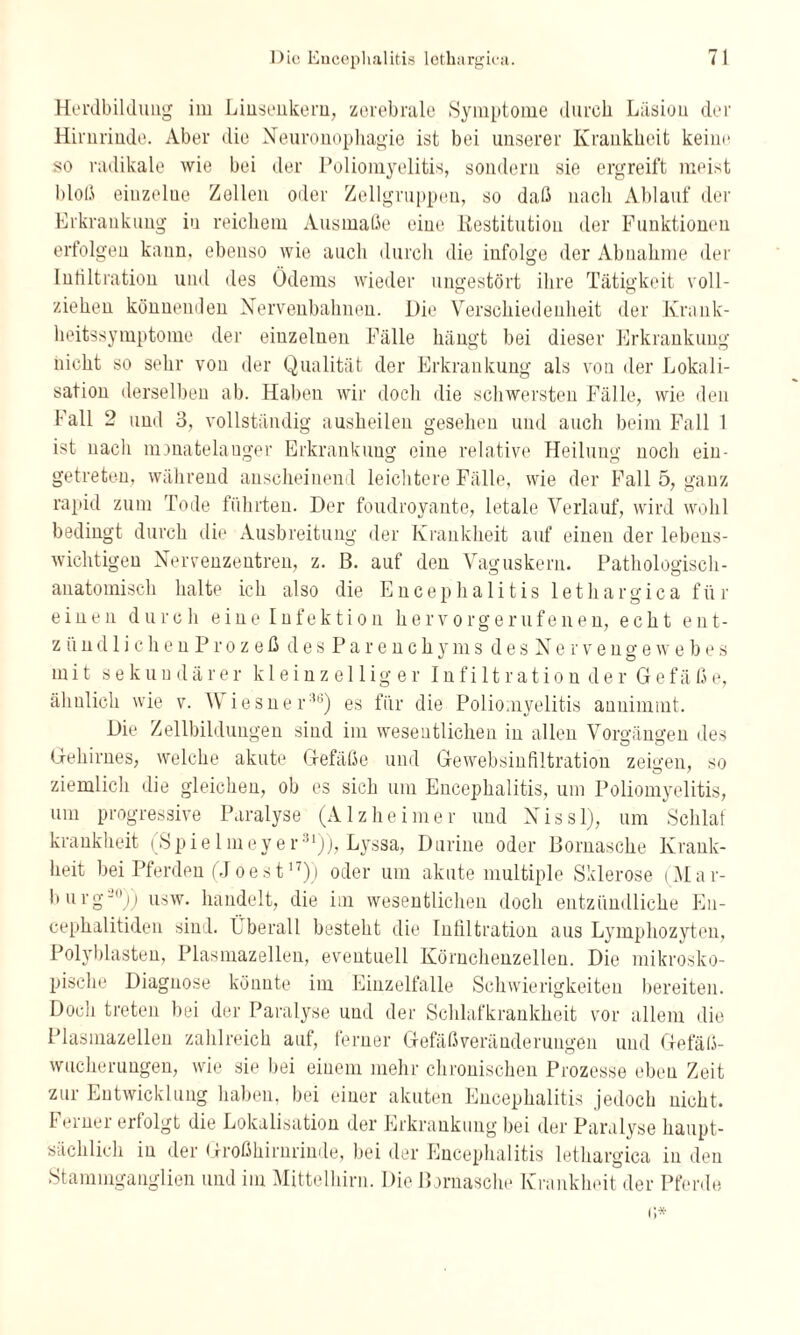 Herdbildung im Linsenkern, zerebrale Symptome durch Läsion der Hirnrinde. Aber die Neuronophagie ist bei unserer Krankheit keine so radikale wie bei der Poliomyelitis, sondern sie ergreift meist bloß einzelue Zellen oder Zellgruppen, so daß nach Ablauf der Erkrankung in reichem Ausmaße eine Restitution der Funktionen erfolgen kann, ebenso wie auch durch die infolge der Abnahme der Infiltration und des Ödems wieder ungestört ihre Tätigkeit voll- ziehen könnenden Nervenbahnen. Die Verschiedenheit der Krank¬ heitssymptome der einzelnen Fälle hängt bei dieser Erkrankung nicht so sehr von der Qualität der Erkrankung als von der Lokali¬ sation derselben ab. Haben wir doch die schwersten Fälle, wie den Fall 2 und 3, vollständig ausheilen gesehen und auch beim Fall 1 ist nach monatelauger Erkrankung eine relative Heilung noch eiu- getreten, während anscheinend leichtere Fälle, wie der Fall 5, ganz rapid zum Tode führten. Der foudroyante, letale Verlauf, wird wohl bedingt durch die Ausbreitung der Krankheit auf einen der lebens¬ wichtigen Nervenzentren, z. B. auf den Vaguskern. Pathologisch¬ anatomisch halte ich also die Encephalitis lethargica für einen durch eine Infektion hervorgerufenen, echt ent¬ zünd 1 i c he u P r o z e ß desParenchyms desNervenge w e b e s mit sekundärer kleinzelliger Infiltration der Gefäße, ähnlich wie v. Wiesner36) es für die Poliomyelitis annimmt. Die Zellbildungen sind im wesentlichen in allen Vorgängen des Gehirnes, welche akute Gefäße und Gewebsiufiltration zeigen, so ziemlich die gleichen, ob es sich um Encephalitis, um Poliomyelitis, um progressive Paralyse (Alzheimer und Nissl), um Schlaf krankheit (Spielmeyer31)), Lyssa, Durine oder Bornasche Krank¬ heit bei Pferden (Joest17)) oder um akute multiple Sklerose (Mar¬ burg-0)) usw. handelt, die im wesentlichen doch entzündliche En¬ cephalitiden sind. Überall besteht die Infiltration aus Lymphozyten, Polyblasten, Plasmazellen, eventuell Körnchenzellen. Die mikrosko¬ pische Diagnose könnte im Einzelfalle Schwierigkeiten bereiten. Doch treten bei der Paralyse und der Schlafkrankheit vor allem die Plasmazellen zahlreich auf, ferner Gefäßveränderungen und Gefäß¬ wucherungen, wie sie bei einem mehr chronischen Prozesse eben Zeit zur Entwicklung haben, bei einer akuten Encephalitis jedoch nicht. Ferner erfolgt die Lokalisation der Erkrankung bei der Paralyse haupt¬ sächlich in der Großhirnrinde, bei der Encephalitis lethargica in den Stammganglien und im Mittelhirn. Die Bornasche Krankheit der Pferde