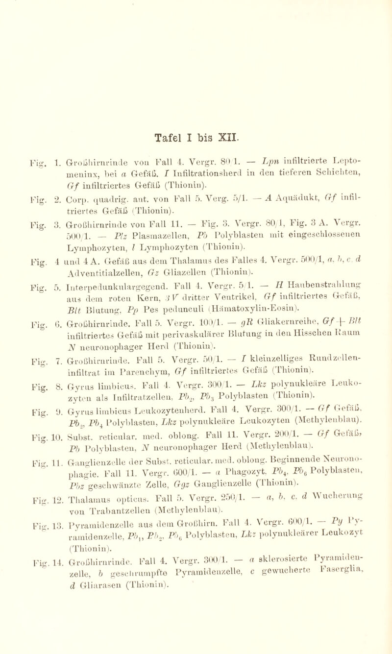 Tafel 1 bis XII. Fig. 1. Großhirnrinde von Fall 4. Vergr. 81* 1. — Lpn infiltrierte Lepto- meuinx, bei a Gefäß. I Infiltrationsherd in den tieferen Schichten, Gf infiltriertes Gefäß (Thionin). Fig. 2. Corp. quadrig. ant. von Fall 5. Verg. 5/1. — A Aquädukt, Gf infil¬ triertes Gefäß (Thionin). Fig. 3. Großhirnrinde von Fall 11. — Fig. 3. Vergr. 80/1, Fig. 3 A. Vergr. 500/1. — PI2 Plasmazellen, Pb Polyblasten mit eingeschlossenen Lymphozyten, I Lymphozyten (Thionin). Fig. 4 und 4 A. Gefäß aus dem Thalamus des Falles 4. Vergr. 500/1, n. b, c d Adventitialzellen, Gz Gliazellen (Thionin). Fig. 5. Interpedunkulargegend. Fall 4. Vergr. 5 1. — H Haubenstrahlung aus dem roten lvern, 3V dritter Ventrikel, Gf infiltriertes Gefäß, Bit Blutung, Pp Pes pedunculi (Hämatoxylin-Eosin). Fig. 6. Großhirnrinde. Fall 5. Vergr. 100/1. — gft Gliakernreihe, Gf |- Jdt infiltriertes Gefäß mit perivaskulärer Blutung in den Hisschen Kaum A neuronophager Herd (Thionin'. Fig. 7. Großhirnrinde. Fall 5. Vergr. 50/1. — / kleinzelliges RundzMlen- infiltrat im Parenchym, Gf infiltriertes Gefäß ( Thionin >. Fig. 8. Gyrus limbicus. Fall 4. Vergr. 300 1. — Lkz polynukleäre Leuko- zyten als Infiltratzellen, Pb2, Pb3 Polyblasten (Thionin). Fig. 0. Gyrus limbicus Leukozytenherd. Fall 4. Vergr. 300/1. — Gf Befaß. Pb,, Pbi Polyblasten, Lkz polynukleäre Leukozyten (Methylenblau). Fig. 10. Subst. reticular. med. oblong. Fall 11. Vergr. 200/1. — Gf Gefäß» Pb Polyblasten, N neuronophager Herd (Methylenblau). Fig. 11. Ganglienzelle der Subst. reticular. med. oblong. Beginnende Neurono- phagie. Fall 11. Vergr. 600/1. — a Phagozyt, Pbi; Pb6 Polyblasten, Pbz geschwänzte Zelle, Ggz Ganglienzelle (Thionin). Fig. 12. Thalamus opticus. Fall 5. Vergr. 250/1. — a, b, c. d Wucherung von Trabantzellen (Methylenblau). Fig. 13. Pyramidenzelle aus dem Großhirn. Fall 4. Vergr. b0 1. Py 1 \- ramidenzelle, ZV,, Pb,, Pb, Polyblasten, Lkz polynukleärer Leukozyt (Thionin). Fig. 14. Großhirnrinde. Fall 4. Vergr. 300/1. - n sklerosierte Pyramiden¬ zelle, b geschrumpfte Pyramidenzelle, c gewucherte laserglia. d Gliarasen (Thionin).