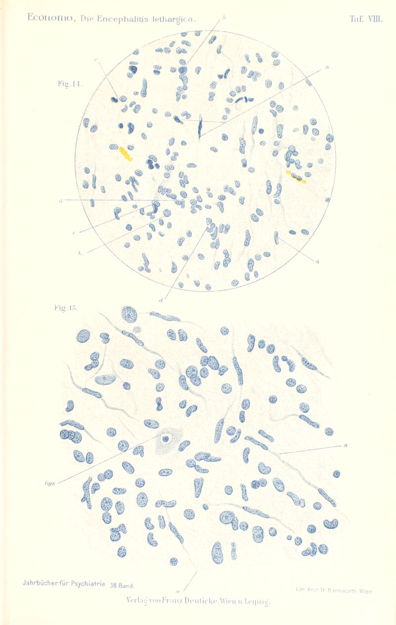 Jahrbücher für Psychiatrie 38 Band Lith Ans» rt Bannwarth.Wien