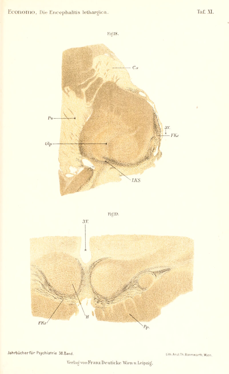 Fic',18. t’lü LKS 3Y. Fig.19.