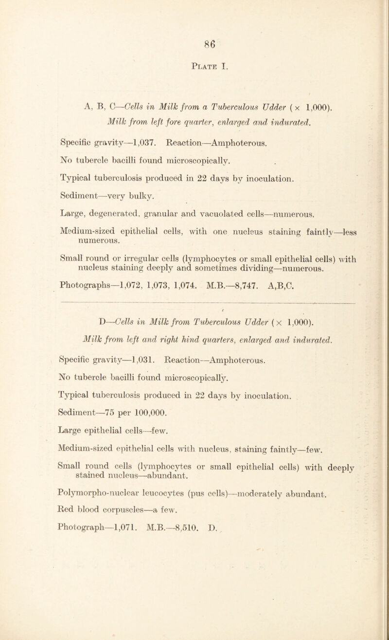 Plate I. A, B, C—Cells in Milh from a Tuberculous Udder ( x 1,000). Milh from left fore quarter, enlarged and indurated. Specific gravity—1,037. Reaction—Amphoterous. No tubercle bacilli found microscopically. Typical tuberculosis produced in 22 days by inoculation. Sediment—very bulky. Large, degenerated, granular and vacuolated cells—numerous. Medium-sized epithelial cells, with one nucleus staining faintly—less numerous. Small round or irregular cells (lymphocytes or small epithelial cells) with nucleus staining deeply and sometimes dividing—numerous. Photographs—1,072, 1,073, 1,074. M.B.—8,747. A,B,C. J)~Gells in Milh from Tuberculous Udder (x 1,000). Milh from left and right hind quarters, enlarged and indurated. Specific gravity—1,031. Reaction—Amphoterous. No tubercle bacilli found microscopically. Typical tuberculosis produced in 22 days by inoculation. Sediment—75 per 100,000. Large epithelial cells—^few. Medium-sized epithelial cells with nucleus, staining faintly—few. Small round cells (lymphocytes or small epithelial cells) with deeply stained nucleus—abundant. Polymorpho-nuclear leucocytes (pus cells)—moderately abundant. Red blood corpuscles—a few. Photograph—1,071. M.B.—8,510. I).