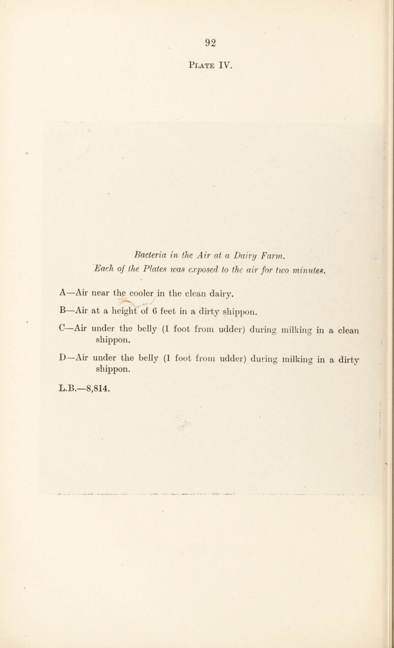 Plate IV. Bacteria in the Air at a, Dairy Farm. Each of the Plates was exposed to the air for two minutes. A—Air near the cooler in the clean dairy. B—Air at a height of 6 feet in a dirty shippon. —Air under the belly (1 foot from udder) during milking in a clean shippon. B—Air under the belly (1 foot from udder) during milkhig in a dirty shippon.
