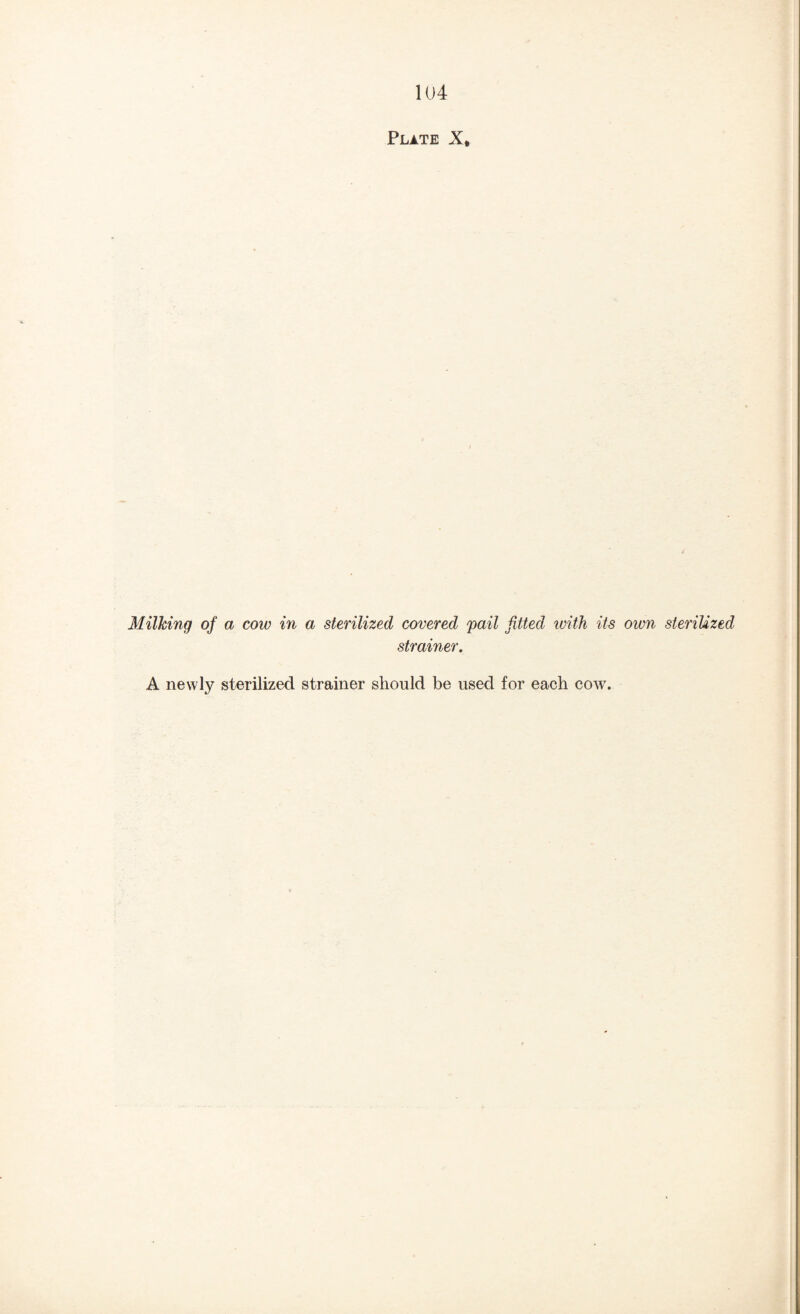 Plate X, Milking of a cow in a sterilized covered pail fitted with its own sterilized strainer. A newly sterilized strainer should be used for each cow.