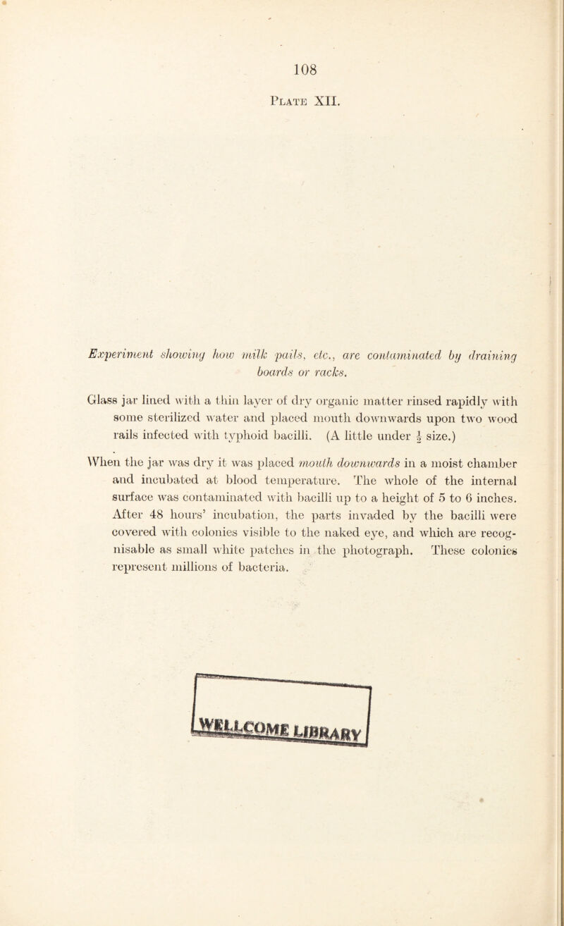 Plate XII. Ex'perintent slmviny how inilh pails, etc., are contaminated by draining boards or racks. Glass jar liaed witli a tliin layer of dry organic matter rinsed rapidly with some sterilized w ater and placed mouth douaiwards upon two wood rails infected with typhoid bacilli. (A little under | size.) AVhen the jar was dry it was placed 'mouth downwards in a moist chamber and incubated at blood temperature. The whole of the internal surface was contaminated with bacilli up to a height of 5 to 6 inches. After 48 hours’ incubation, the parts invaded by the bacilli were covered with colonies visible to the naked eye, and which are recog¬ nisable as small white patches in the photograph. These colonies represent millions of bacteria.