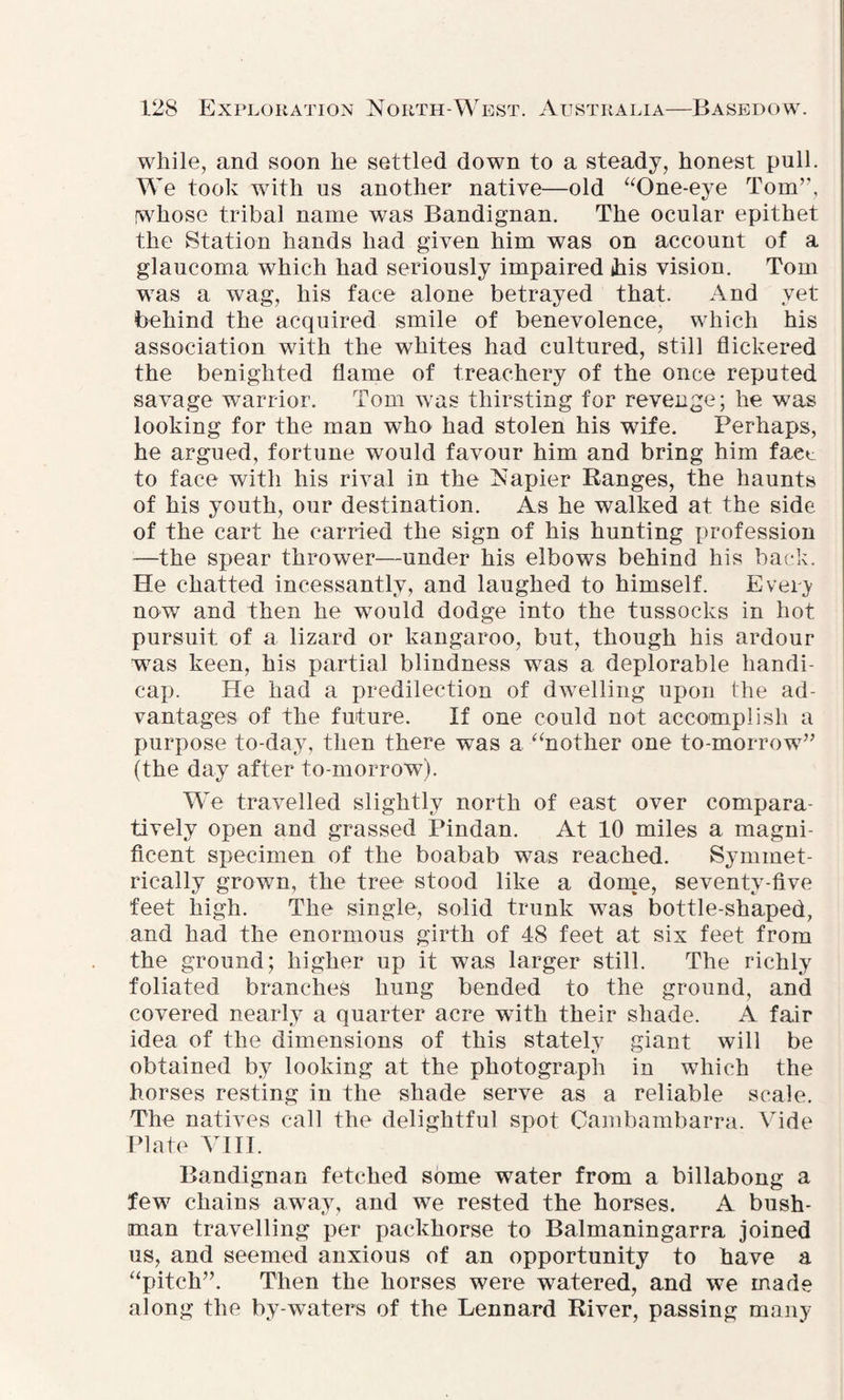 while, and soon he settled down to a steady, honest pull. We took with us another native—old “One-eye Tom”, whose tribal name was Bandignan. The ocular epithet the Station hands had given him was on account of a glaucoma which had seriously impaired ihis vision. Tom was a wag, his face alone betrayed that. And yet behind the acquired smile of benevolence, which his association with the whites had cultured, still flickered the benighted flame of treachery of the once reputed savage warrior. Tom was thirsting for revenge; he was looking for the man who had stolen his wife. Perhaps, he argued, fortune would favour him and bring him faet to face with his rival in the Napier Ranges, the haunts of his youth, our destination. As he walked at the side of the cart he carried the sign of his hunting profession —the spear thrower—under his elbows behind his back. He chatted incessantly, and laughed to himself. Every now and then he would dodge into the tussocks in hot pursuit of a lizard or kangaroo, but, though his ardour was keen, his partial blindness was a deplorable handi¬ cap. He had a predilection of dwelling upon the ad¬ vantages of the future. If one could not accomplish a purpose to-day, then there was a “nother one to-morrow” (the day after to-morrow). We travelled slightly north of east over compara¬ tively open and grassed Pindan. At 10 miles a magni¬ ficent specimen of the boabab was reached. Symmet¬ rically grown, the tree stood like a dome, seventy-five feet high. The single, solid trunk was bottle-shaped, and had the enormous girth of 48 feet at six feet from the ground; higher up it was larger still. The richly foliated branches hung bended to the ground, and covered nearly a quarter acre with their shade. A fair idea of the dimensions of this stately giant will be obtained by looking at the photograph in which the horses resting in the shade serve as a reliable scale. The natives call the delightful spot Cambambarra. Vide Plate VIII. Bandignan fetched some water from a billabong a few chains away, and we rested the horses. A bush- man travelling per packhorse to Balmaningarra joined us, and seemed anxious of an opportunity to have a “pitch”. Then the horses were watered, and we made along the by-waters of the Lennard River, passing many