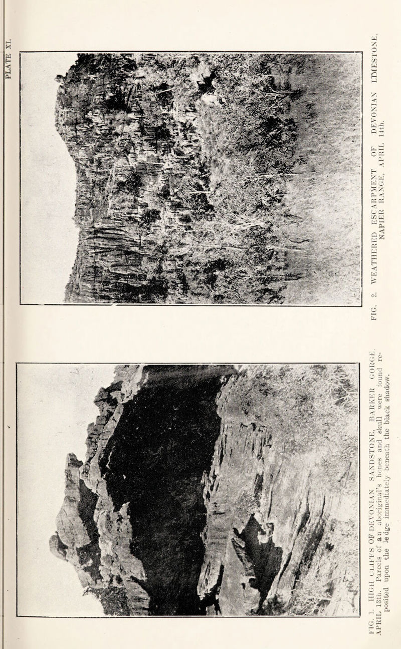 -< i—i X O K“ w- Q : •< H „ % H H O S Jz; CP -Si CP CP <; O CP 02 LJ W -a O s . xn x XT l ftp.°r Pc' I—^ M Q ^ .°P S P 6 E [£3 \Z y ^ a Q b r £ T •£4 i—i —< CD -3 ° ^ 3 ,pa ( CO '