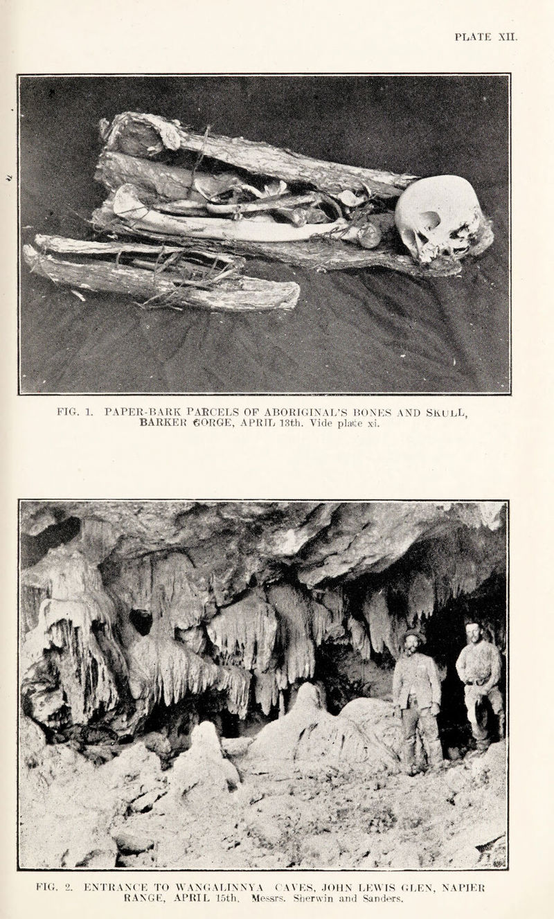 ' WiMwMmi FIG. 1. PAPER-BARK PARCELS OF ABORIGINAL’S BONES AND SKULL, BARKER GORGE, APRIL ISth. Vide plate xi. FIG. 2. ENTRANCE TO WANGALINNYA CAVES, JOHN LEWIS GLEN, NAPIEI RANGE, APRIL 15th. Messrs. Sherwin and Sanders.