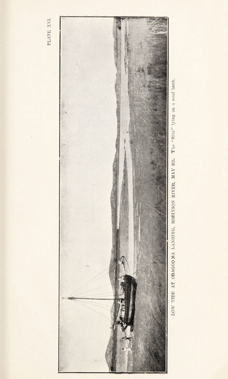 LOW TIDE AT OBAGOOMA LANDING, ROBINSON RIVER, MAY 0th. The “Rita” lying on a mud bank.