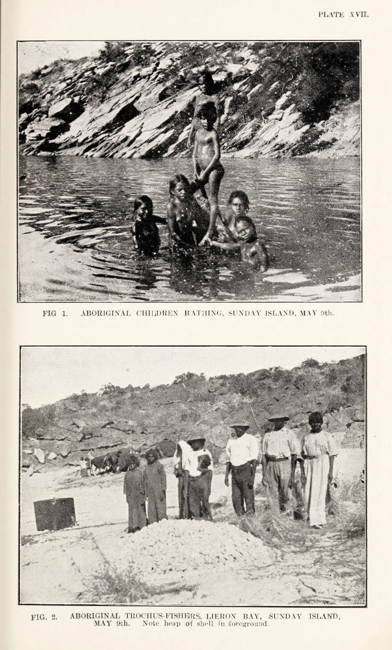 FIG 1. ABORIGINAL CHILDREN BATHING, SUNDAY ISLAND, MAY 9th. FIG. 2. ABORIGINAL TROGHUS-FISHEJR^, LIE RON BAY, SUNDAY ISLAND, MAY 9th. Note heap of shell in foreground.