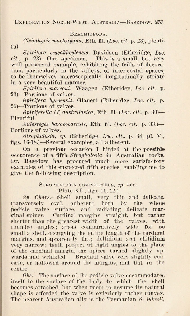 Brachiopoda. Cleiothyris macleayana, Eth. fil. (Log. cit. p. 23), plenti¬ ful. Spirifera musakheylensis, Davidson (Etheridge, Loc. ci£., p. 23)—One specimen. This is a small, but very well preserved example, exhibiting the frills of decora¬ tion, particularly in the valleys, or inter-costal spaces, to be themselves microscopically longitudinally striate in a very beautiful manner. Spirifera marcoui, Waagen (Etheridge, Loc. cit., p. 23)—Portions of valves. Spirifera byroensis, Glauert (Etheridge, Loc. Git., p. 25)—Portions of valves. Spiriferella (?) australasica, Eth. fil. (Loc. cit., p. 30)— Plentiful. Aulosteges baracoodensis, Eth. fil. (Loc. cit., p. 33.)— Portions of valves. Strophalosia, sp. (Etheridge, Loc. cit., p. 34, pi. V., figs. 16-18.)—Several examples, all adherent. On a previous occasion I hinted at the possible occurrence of a fifth Strophalosia in Australian rocks. Dr. Basedow has procured much more satisfactory examples of this suspected fifth species, enabling me to give the following description. Strophalosia complecteits, sp. nov. (Plate XL., figs. 11, 12.) Sp. Chars.—Shell small, very thin and delicate, transversely oval, adherent both by the whole pedicle valve surface, and radiating delicate mar¬ ginal spines. Cardinal margins straight, but rather shorter than the greatest width of the valves, with rounded angles; areas comparatively wide for so small a shell, occupying the entire length of the cardinal margins, and apparently flat; deltidium and chilidium very narrow; teeth project at right angles to the plane of the cardinal margin, the apices turned slightly up¬ wards and wrinkled. Brachial valve very slightly con¬ cave, or hollowed around the margins, and flat in the centre. Obs.—The surface of the pedicle valve accommodates itself to the surface of the body to which the shell becomes attached, but when room to assume its natural shape is afforded the valve is exteriorly rather convex. The nearest Australian ally is the Tasmanian $. jukcsii,