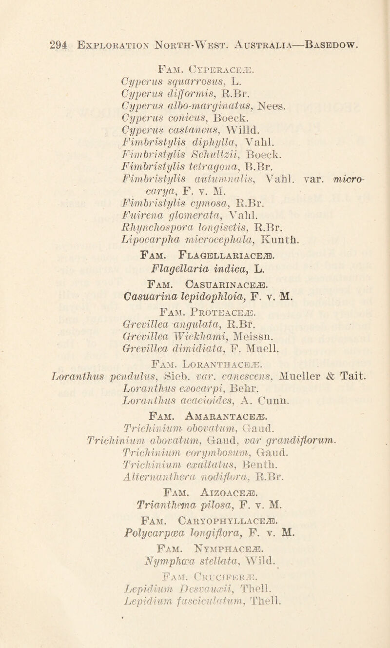 Fam. Cyperaceje. Cyperus squarrosus, L. Cyperus difformis, R.Br. Cyperus albo-marginatus, Nees. Cyperus conicus, Boeck. Cyperus castaneus, Willd. Fimbristylis diphylla, Vakl. Fim bristylis SchuMzii, Boeck. Fimbristylis tetragona, B.Br. Fimbristylis autumnaUs, Vahl. yar. micro- carya, F. v. M. Fimbristylis cyrnosa, R.Br. Fuirena glomerata, Vakl. Rhynchospora longisetis, R.Br. Lipocarpha microcephala, Kunth. Fam. Flagellariace.e. Flagellaria mdica, L. Fam. Gasuarinaceje. Casuarina lepidophloia, F. y. M. Fam. Froteace^e. Grevillea angulata, R.Br. Grevillea Wickhami, Meissn. Grevillea dimidiata, F. Muell. Fam. LoRANTHACEJE. Loranthus pendulus, S-ieb. var. canescens, Mueller & Tait. Loranthus exocarpi, Be hr. Loranthus acacioides, A. Gunn. Fam. Amarantace^e. Trichinium obovatum, Gaud. Trichinium abovatum, Gaud, par grandiftorum. Trichinium corymbosum, Gaud. Trichinium exaltaius, Benth. Alternanthera nodiflora, R.Br. Fam. Aizoace^e. Trianthma pilosa, F. y. M. Fam. Caryophyllace/E. Polycarpcea longiflora, F. v. M. Fam. Nymphaceje. Nymphoca stellata, Wild. Fam. Cruciferje. Lepidium Desvauxii, Thell. Lepidi-um fasciculatum, Thell.