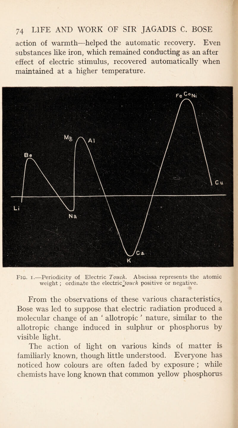 action of warmth—helped the automatic recovery. Even substances like iron, which remained conducting as an after effect of electric stimulus, recovered automatically when maintained at a higher temperature. Fe CoNi Fig. i.—Periodicity of Electric Touch. Abscissa represents the atomic weight; ordinate the electricJouch positive or negative. From the observations of these various characteristics, Bose was led to suppose that electric radiation produced a molecular change of an ‘ allotropic ' nature, similar to the allotropic change induced in sulphur or phosphorus by visible light. The action of light on various kinds of matter is familiarly known, though little understood. Everyone has noticed how colours are often faded by exposure ; while chemists have long known that common yellow phosphorus