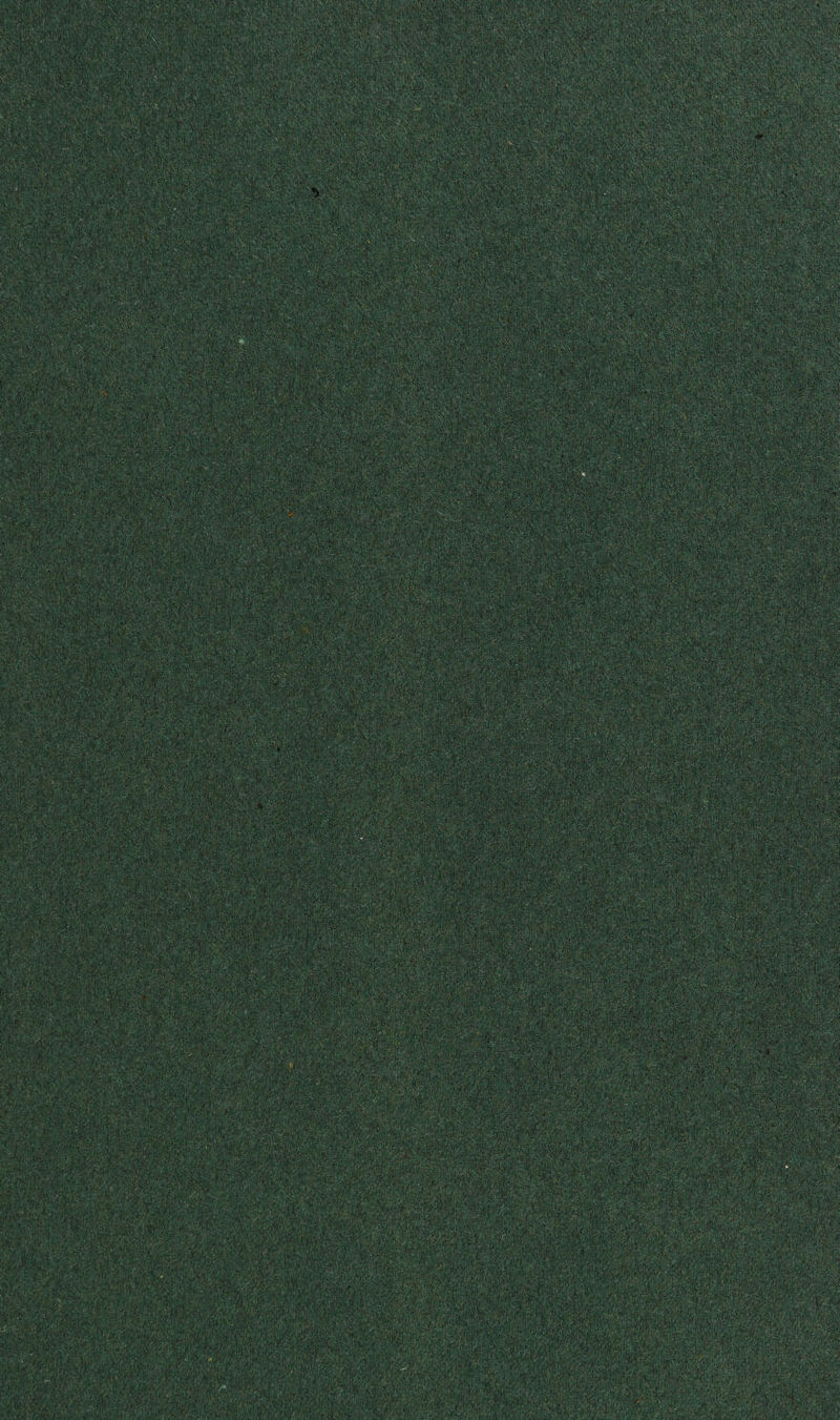 ISWSmi^m %mmm: kite :kte»te ktete:-i:;V:';- i§f#l