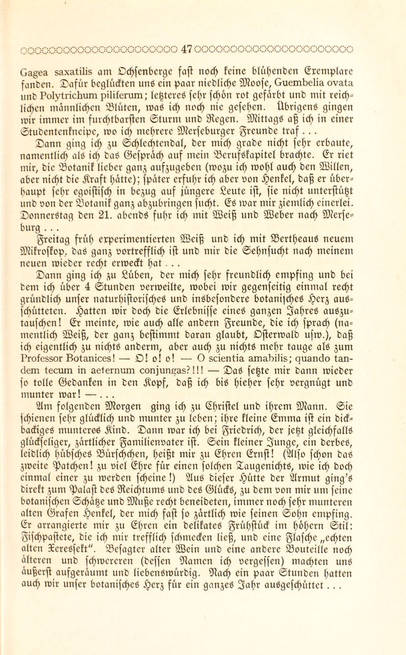 OOOOOOOOOOOOOOOOOOOOOO 410000000000000000000000 Gagea saxatilis am £)d)fenbcrgc faft nod) feine blüf;enbcn Sxemplare fanben. Dafür beglüeften unß ein paar nieblid)e Sftoofe, Guembelia ovata unb Polytrichum piliferum; lelptcreß fef;r fd)6n rot gefärbt unb mit reich* lieben m<Snnlid)en 23lüten, maß id) noch nie gefeben. Übrigcnß gingen mir immer im furd;tbarftcn ©türm unb Siegen. 91dttagß aff icb in einer ©tubentenfneipe, me icb mehrere 9)?crfeburgcr greunbe traf. . . Dann ging id) zu ©d)lcchtcnbal, ber mich grabe nicht febr erbaute, namentlich alß ich baß ©efpräd) auf mein 23erufßfapitel brachte. Sr riet mir, bie 23otanif lieber ganz aufzugeben (moju ich mohl auch ben ffiillen, aber nicht bie jtraft hatte); fpater erfuhr ich aber üon «^entet, baff er über* baupt fehr egotftifd) in bezug auf jüngere ßeute ift, fie nicht unterftülst unb von ber 23otanif ganz abzubringen fud)t. Sß mar mir ziemlich einerlei. Donnerßtag ben 21. abenbß fuhr ich mit SÖeiff unb fffieber nach 50fcrfe* bürg . . . Freitag früh experimentierten 2Seiff unb ich mit 23ertf)eauß neuem Sföifroffop, baß ganz vortrefflich ift unb mir bie ©ehnfudfd nach meinem neuen mieber recht ermedft hat. . . Dann ging id; zu Süben, ber mich fehr freunblid) empfing unb bei bem ich über 4 ©tunben verweilte, mobei mir gegenfeitig einmal recht grünblich unfer naturbiftorifd)eß unb inßbefonbere botani|d)eß ^erj auß* fchütteten. Ratten mir hoch bie Srlebniffe eineß ganzen 3af)reß außzu* taufchcn! Sr meinte, mie auch alte anbern greunbe, bie id) fprach (na* mcntlich Seiff, ber ganz beftimmt baran glaubt, Dftermalb ufw.), baff ich eigentlich zu nichtß anberm, aber auch zu nic^tß mehr tauge alß zum Professor Botanices! — 0! o! o! — 0 scientia amabilis; quando tan- dem teemn in aeternum conjungas?!!! — Daß fetjte mir bann mieber fo tolle ©ebanfen in ben $opf, baff ich h>ic^er fehr vergnügt unb munter mar! — ... 2Jm folgenben borgen ging ich Zu Shriftel unb ihrem SOiann. ©ie fchienen fehr gtüdlich unb munter ju leben; ihre fleine Smma ift ein bi cf* baefigeß muntered $inb. Dann mar ich bei ^rtebrief), ber jefet gleid)fallß glücffeliger, zärtlicher Familienvater ift. ©ein fleiner 3unge, ein berbeß, leiblich hübfd)eß 23ürfd;d)en, heifft mir zu Shren Srnjt! (2llfo fchon baß Zmcite Matchen! zu viel Shrc für einen folchen Daugenid)tß, mie ich bod; einmal einer zu merben fcheine!) 2luß biefer ipütte ber Slrmut ging'ß bireft zum ^Palaft beß 3tcid)tumß unb beß ©lücfß, zu bem von mir um feine botanischen ©d)äf3e unb SSJiuffe recht beneibeten, immer noch fehr munteren alten ©rafen ^enfel, ber mich faft f° särtlicf) mie feinen ©ol;n empfing. Sr arrangierte mir zu Shren ein belifateß Frilhftüd im hohem ©ttl: Fifchpafiete, bie ich nur trefflich fehmeefen lieff, unb eine F^afche „echten alten 36creßfeft. SBefagtcr alter 2öein unb eine anbere 23outeille noch alteren unb fcf)mcrcren (beffen Stamcn id; vergeffen) machten unß aufferft aufgeräumt unb liebenßmürbig. Stad; ein paar ©tunben hatten auch mir unfer botanifcheß iperz für ein ganzeß 3af)r außgefd;üttct. . .