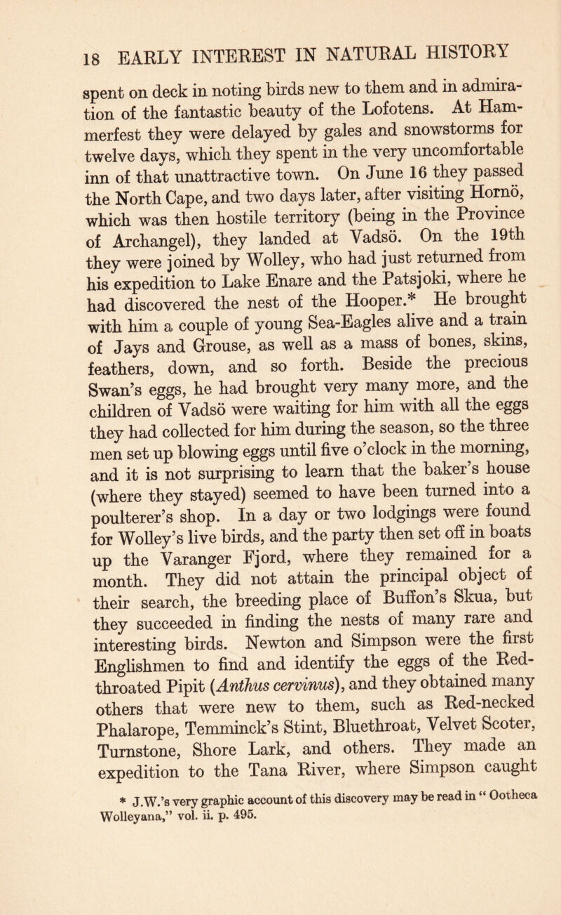 spent on deck in noting birds new to them and in admira¬ tion of the fantastic beauty of the Lofotens. At Ham- merfest they were delayed by gales and snowstorms for twelve days, which they spent in the very uncomfortable inn of that unattractive town. On June 16 they passed the North Cape, and two days later, after visiting Homo, which was then hostile territory (being in the Province of Archangel), they landed at Vadso. On the 19th they were joined by Wolley, who had just returned from his expedition to Lake Enare and the Patsjoki, where he had discovered the nest of the Hooper.* He brought with him a couple of young Sea-Eagles alive and a train of Jays and (Arouse, as well as a mass of bones, skins, feathers, down, and so forth. Beside the precious Swan’s eggs, he had brought very many more, and the children of Vadso were waiting for him with all the eggs they had collected for him during the season, so the three men set up blowing eggs until five o clock in the morning, and it is not surprising to learn that the baker’s house (where they stayed) seemed to have been turned into a poulterer’s shop. In a day or two lodgings were found for Wolley’s live birds, and the party then set off in boats up the Varanger Fjord, where they remained^ for a month. They did not attain the principal object of their search, the breeding place of Buffon s Skua, but they succeeded in finding the nests of many rare and interesting birds. Newton and Simpson were the first Englishmen to find and identify the eggs of the Red- throated Pipit (Anihus cervinus), and they obtained many others that were new to them, such as Red-necked Phalarope, Temminck’s Stint, Bluethroat, Velvet Scoter, Turnstone, Shore Lark, and others. They made an expedition to the Tana River, where Simpson caught * J.W.’s very graphic account of this discovery may be read in “ Ootheca Wolleyana,” vol. ii. p. 495.