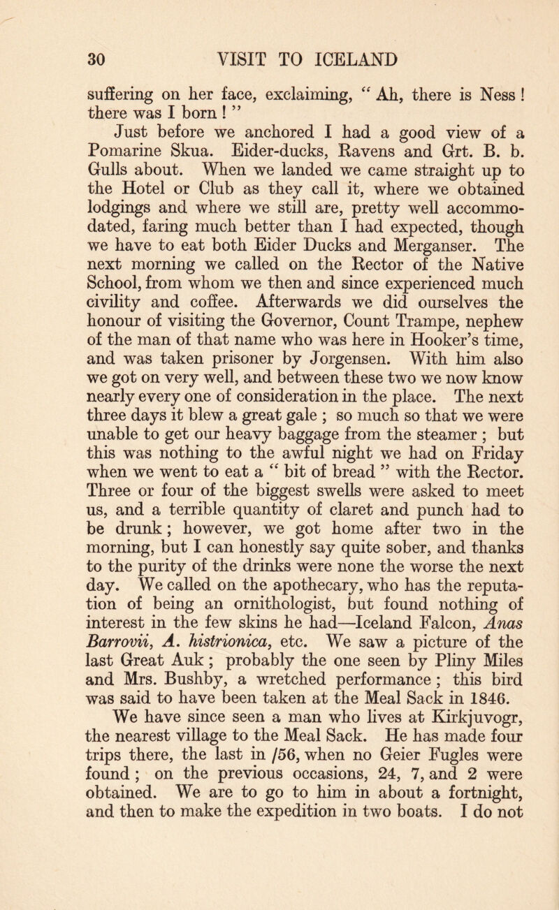 suffering on her face, exclaiming, '' Ah, there is Ness! there was I born ! ” Just before we anchored I had a good view of a Pomarine Skua. Eider-ducks, Ravens and Grt. B. b. Gulls about. When we landed we came straight up to the Hotel or Club as they call it, where we obtained lodgings and where we still are, pretty well accommo¬ dated, faring much better than I had expected, though we have to eat both Eider Ducks and Merganser. The next morning we called on the Rector of the Native School, from whom we then and since experienced much civility and coffee. Afterwards we did ourselves the honour of visiting the Governor, Count Trampe, nephew of the man of that name who was here in Hooker’s time, and was taken prisoner by Jorgensen. With him also we got on very well, and between these two we now know nearly every one of consideration in the place. The next three days it blew a great gale ; so much so that we were unable to get our heavy baggage from the steamer ; but this was nothing to the awful night we had on Friday when we went to eat a bit of bread ” with the Rector. Three or four of the biggest swells were asked to meet us, and a terrible quantity of claret and punch had to be drunk; however, we got home after two in the morning, but I can honestly say quite sober, and thanks to the purity of the drinks were none the worse the next day. We called on the apothecary, who has the reputa¬ tion of being an ornithologist, but found nothing of interest in the few skins he had—^Iceland Falcon, Anas Barrovii, A, histrionica, etc. We saw a picture of the last Great Auk; probably the one seen by Pliny Miles and Mrs. Bushby, a wretched performance; this bird was said to have been taken at the Meal Sack in 1846. We have since seen a man who lives at Kirkjuvogr, the nearest village to the Meal Sack. He has made four trips there, the last in /56, when no Geier Fugles were found; on the previous occasions, 24, 7, and 2 were obtained. We are to go to him in about a fortnight, and then to make the expedition in two boats. I do not