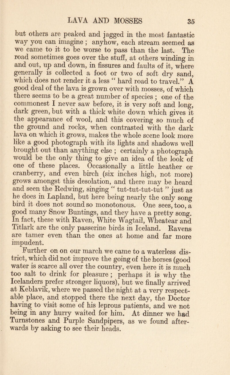 but others are peaked and jagged in the most fantastic way you can imagine ; anyhow, each stream seemed as we came to it to be worse to pass than the last. The road sometimes goes over the stuff, at others winding in and out, up and down, in fissures and faults of it, where generally is collected a foot or two of soft dry sand, which does not render it a less '' hard road to travel.’’ A good deal of the lava is grown over with mosses, of which there seems to be a great number of species ; one of the commonest I never saw before, it is very soft and long, dark green, but with a thick white down which gives it the appearance of wool, and this covering so much of the ground and rocks, when contrasted with the dark lava on which it grows, makes the whole scene look more like a good photograph with its lights and shadows well brought out than anything else ; certainly a photograph would be the only thing to give an idea of the look of one of these places. Occasionally a little heather or cranberry, and even birch (six inches high, not more) grows amongst this desolation, and there may be heard and seen the Kedwing, singing '' tut-tut-tut-tut ” just as he does in Lapland, but here being nearly the only song bird it does not sound so monotonous. One sees, too, a good many Snow Buntings, and they have a pretty song. In fact, these with Raven, White Wagtail, Wheatear and Titlark are the only passerine birds in Iceland. Ravens are tamer even than the ones at home and far more impudent. Further on on our march we came to a waterless dis¬ trict, which did not improve the going of the horses (good water is scarce all over the country, even here it is much too salt to drink for pleasure; perhaps it is why the Icelanders prefer stronger liquors), but we finally arrived at Keblavik, where we passed the night at a very respect¬ able place, and stopped there the next day, the Doctor haying to visit some of his leprous patients, and we not being in any hurry waited for him. At dinner we had Turnstones and Purple Sandpipers, as we found after¬ wards by asking to see their heads.