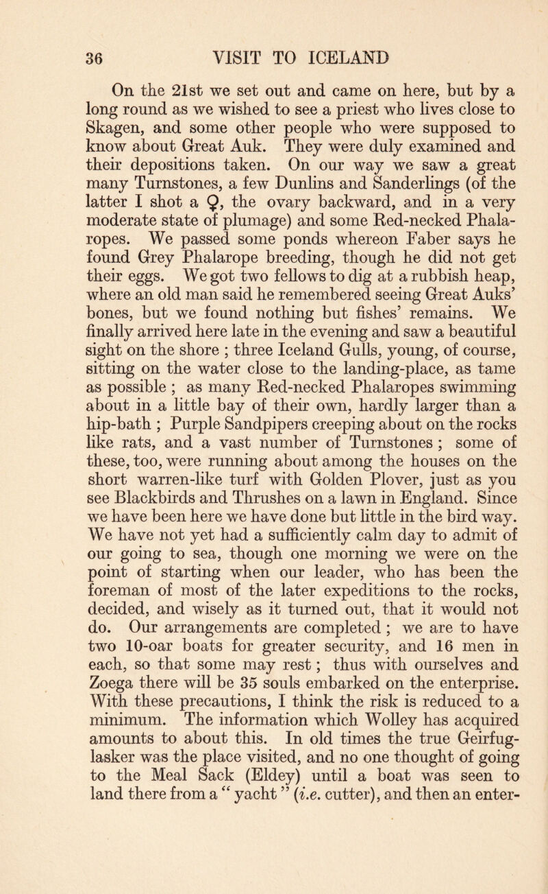 On the 21 st we set out and came on here, but by a long round as we wished to see a priest who lives close to Skagen, and some other people who were supposed to know about Great Auk. They were duly examined and their depositions taken. On our way we saw a great many Turnstones, a few Dunlins and Sanderlings (of the latter I shot a 9> ovary backward, and in a very moderate state of plumage) and some Eed-necked Phala- ropes. We passed some ponds whereon Faber says he found Grey Phalarope breeding, though he did not get their eggs. We got two fellows to dig at a rubbish heap, where an old man said he remembered seeing Great Auks' bones, but we found nothing but fishes’ remains. We finally arrived here late in the evening and saw a beautiful sight on the shore ; three Iceland Gulls, young, of course, sitting on the water close to the landing-place, as tame as possible ; as many Ked-necked Phalaropes swimming about in a little bay of their own, hardly larger than a hip-bath ; Purple Sandpipers creeping about on the rocks like rats, and a vast number of Turnstones ; some of these, too, were running about among the houses on the short warren-like turf with Golden Plover, just as you see Blackbirds and Thrushes on a lawn in England. Since we have been here we have done but little in the bird way. We have not yet had a sufficiently calm day to admit of our going to sea, though one morning we were on the point of starting when our leader, who has been the foreman of most of the later expeditions to the rocks, decided, and wisely as it turned out, that it would not do. Our arrangements are completed ; we are to have two 10-oar boats for greater security, and 16 men in each, so that some may rest; thus with ourselves and Zoega there will be 35 souls embarked on the enterprise. With these precautions, I think the risk is reduced to a minimum. The information which Wolley has acquired amounts to about this. In old times the true Geirfug- lasker was the place visited, and no one thought of going to the Meal Sack (Eldey) until a boat was seen to land there from a yacht ” (i.e, cutter), and then an enter-