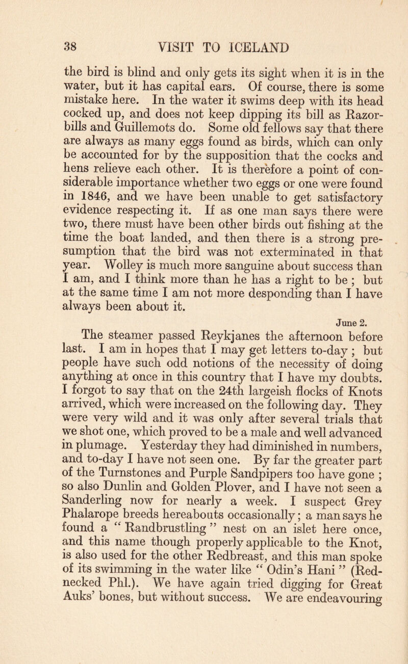 the bird is blind and only gets its sight when it is in the water, but it has capital ears. Of course, there is some mistake here. In the water it swims deep with its head cocked up, and does not keep dipping its bill as Razor¬ bills and Guillemots do. Some old fellows say that there are always as many eggs found as birds, which can only be accounted for by the supposition that the cocks and hens relieve each other. It is therefore a point of con¬ siderable importance whether two eggs or one were found in 1846, and we have been unable to get satisfactory evidence respecting it. If as one man says there were two, there must have been other birds out fishing a,t the time the boat landed, and then there is a strong pre¬ sumption that the bird was not exterminated in that year. Wolley is much more sanguine about success than I am, and I think more than he has a right to be ; but at the same time I am not more desponding than I have always been about it. June 2. The steamer passed Reykjanes the afternoon before last. I am in hopes that I may get letters to-day ; but people have such odd notions of the necessity of doing anything at once in this country that I have my doubts. I forgot to say that on the 24tii largeish flocks of Knots arrived, which were increased on the following day. They were very wild and it was only after several trials that we shot one, which proved to be a male and well advanced in plumage. Yesterday they had diminished in numbers, and to-day I have not seen one. By far the greater part of the Turnstones and Purple Sandpipers too have gone ; so also Dunlin and Golden Plover, and I have not seen a Sanderling now for nearly a week. I suspect Grey Phalarope breeds hereabouts occasionally; a man says he found a '' Randbrustling ’’ nest on an islet here once, and this name though properly applicable to the Knot, is also used for the other Redbreast, and this man spoke of its swimming in the water like Odin’s Hani ” (Red¬ necked Phi.). We have again tried digging for Great Auks’ bones, but without success. We are endeavouring