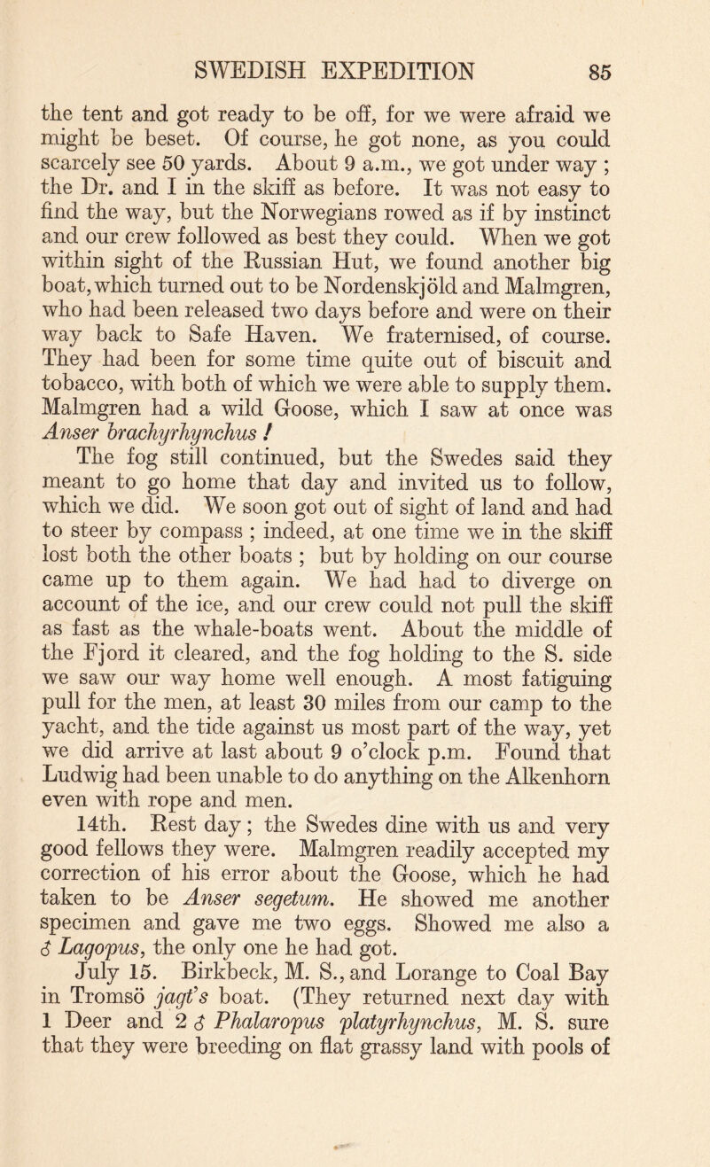 the tent and got ready to be off, for we were afraid we might be beset. Of course, he got none, as you could scarcely see 50 yards. About 9 a.m., we got under way ; the Dr. and I in the skiff as before. It was not easy to find the way, but the Norwegians rowed as if by instinct and our crew followed as best they could. When we got within sight of the Russian Hut, we found another big boat, which turned out to be Nordenskjold and Malmgren, who had been released two days before and were on their way back to Safe Haven. We fraternised, of course. They had been for some time quite out of biscuit and tobacco, with both of which we were able to supply them. Malmgren had a wild Goose, which I saw at once was Anser hmchyrJiynchus ! The fog still continued, but the Swedes said they meant to go home that day and invited us to follow, which we did. We soon got out of sight of land and had to steer by compass ; indeed, at one time we in the skiff lost both the other boats ; but by holding on our course came up to them again. We had had to diverge on account of the ice, and our crew could not pull the skiff as fast as the whale-boats went. About the middle of the Fjord it cleared, and the fog holding to the S. side we saw our way home well enough. A most fatiguing pull for the men, at least 30 miles from our camp to the yacht, and the tide against us most part of the way, yet we did arrive at last about 9 o’clock p.m. Found that Ludwig had been unable to do anything on the Alkenhorn even with rope and men. 14th. Rest day; the Swedes dine with us and very good fellows they were. Malmgren readily accepted my correction of his error about the Goose, which he had taken to be Anser segetum. He showed me another specimen and gave me two eggs. Showed me also a $ Lagopus, the only one he had got. July 15. Birkbeck, M. S.,and Lorange to Coal Bay in Tromso jagfs boat. (They returned next day with I Deer and 2 ^ Phalaropus flatyrhynchus^ M. S. sure that they were breeding on flat grassy land with pools of