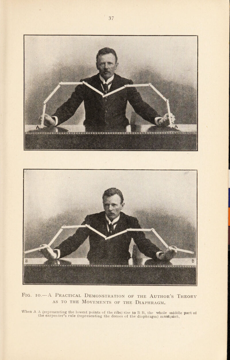 Fig. io.—A Practical Demonstration of the Author’s Theory as to the Movements of the Diaphragm. When A A (representing the lowest points of the ribs) rise to B B, the whole middle part of the carpenter’s rule (representing the domes of the diaphragm) mustjsink.