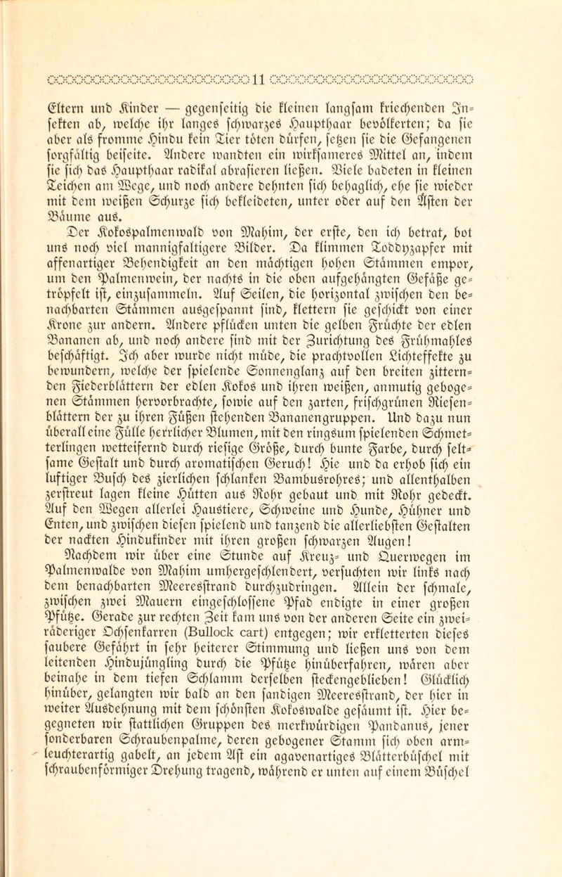 (Eltern unb jtinber — gegenfettig bte Meinen tangfam fnccf)enben 3m= feften ob, mdette itm langet fchmarjeä Haupthaar beöotferten; ba fie aber atö fromme $inbu fein Ster toten bürfen, fc^en fie bic befangenen forgfdttig bctfcitc. Stnberc manbten ein mtrffantereö S3?ittd an, inbettt fie fid) bas? Haupthaar rabifat abrafieren tiefjen. 93tdc babeten in Meinen Seichen am Effiege, unb ttoeb anbere besten fiel) behaglich, che fie rnteber mit bent meinen ©cf^urje fiel) bcMcibcten, unter ober auf ben E&ftcn ber Raunte aus?. ©er dtofos?palmcnmalb oott 93M;ttn, ber erfie, ben icl) betrat, bot um? noch üiel mannigfaltigere 23ilber. ©a Mimmen Sobbpjapfer mit affenartiger EBehenbigfeit an ben mächtigen hohen ©tammen empor, um ben ^almenmein, ber nact)tö in bie oben aufgefjangten ©efafje ge= tröpfelt ift, einjufammeln. Stuf ©eiten, bte horizontal ^rotfeften ben be= nad)bartcn ©tammen auögefpannt ftttb, Mettern fie gefcf;icft oon einer dlrone jur anbern. Stnberc pflüefen unten bie gelben grüßte ber eblen SBananen ab, unb noch anbere ftnb mit ber ^urtcfjtung be$ grüf;maf;feö befdfjdftigt. 3cb ober mürbe nicht ntübc, bte prachtvollen £id;tcffefte ju bemunbern, mdette ber fpidenbe ©onnenglanj auf ben breiten zittern* ben gieberblättern ber eblett dlofos? unb ihren metfjen, anmutig geboge= nen ©tammen fjeroorbradfjte, fomie auf ben jaden, frifdfjgrünen 9ttefen= blättern ber ju ihren güfjett ficf;enben EBananengruppen. Unb baju nun überalleine ^üüe heMidfjer 23lumen, mit ben ringsum fpielenbcn ©cf;met= terlingen metteifernb burct) rtefige ©rofje, burct) bunte garbe, burd) fett* fame ©cfialt unb bureb aromatifchen ©erud)! djte unb ba ertjob ftd) ein luftiger 93ufcf) bes? zierlichen fd)lanfen EBambudofjreg; unb allenthalben jerftreut lagen Meine Jütten aus? Siotjr gebaut unb mit Eftotjr gebeeft. Stuf ben Söegen allerlei jjaudtere, ©chmeine unb £unbe, jpüfjner unb ©iten, unb zmtfd)en biefen fpietenb unb tanjenb bie allertiebfien ©eflalten ber naeften dptnbuf'tnber mit ihren großen feftmarjen Stugen! Eftacf)bem mir über eine ©tunbe auf jtreuz* unb Quermcgcn im 93almenmalbe von 50?af)im umhergefchlenbert, verbuchten mir linfö nach bent benachbarten EDieereöftranb burdfjzubringen. Sllletn ber fctjmale, Zmifcfjen jmei dauern eingefebtoffene Epfab enbigte in einer großen ^füf3e. ©erabe jur rechten ^ett fam uns? von ber anberen ©eite ein zmet* rabertger Dchfenfarren (Bullock cart) entgegen; mir erftetterten biefeö faubere ©efdf)rt in febr heiterer ©ttmmung unb ticken um? von betn leitenben ^inbujüngltng burch bie Epfüge hinüberfahren, mdren aber beinahe in bem tiefen ©chtamrn berfdben flecfcngebltebcn! ©tücftich hinüber, gelangten mir batb an ben fanbigen EÜZeercöftranb, ber hier in meiter Stuöbehnung mit bem fcfjönfien $ofos?malbe gefdumt ifi. Jpier be* gegneten mir fktttid)en ©ruppen bes? merfmürbigen ^anbatuts?, jener fonberbaren ©chraubenpatme, beren gebogener ©tanim fid) oben arm* leucbterartig gabelt, an jebem Stfi ein agavenartiges? 23ldtterbüfchel mit fehraubenforntiger ©refjung tragenb, mdhrenb er unten auf einem 23üfchet