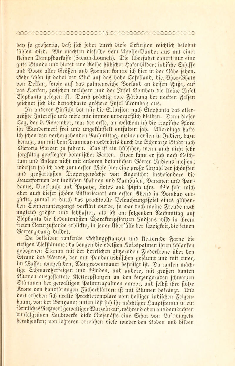 bat) fo großartig, baß fic^ jeher burd) bicfc ©rfurfton reichlich belohnt fühlen mirb. 9Bir machten biefelbe oom 2fpollo»23unber au« mit einer fteinen £)ampfbarfaffe (Steam-Lounch). ©tc Überfahrt bauert nur eine gute ©tunbe unb bietet eine Neifje hübfdjer Jpafenbitber; tnbifcfje ©tfjtffc unb 93oote aller ©roßen unb gormen fonnte idf) fiter in ber Nähe feigen, ©ehr fcf)6n ift babei ber 23licf auf ba« f;o^c Safellanb, btc.23f;or=@batö oon £>effan, fomie auf ba« pafmenretc^e S3orfanb an beffen guße, auf bas< jtonfan, jmifchen mefcfjem unb ber gnfcl 23ombap bic flcine gnfel (Jlepfjanta gelegen ift. Surcfj prächtig rote gärbung ber naeften gclfcn jeicifnct fich bie benachbarte größere ^ynfet Srombap au«. 3n anberer XMnficf;t bot mir bie (Jrfurfton nach ©lephanta ba« aller* größte Bjntereffe unb roirb mir immer unvergeßlich bleiben. Denn btefer Sag, ber 9. November, mar ber erftc, an mclchcm ich bie troptfefje glora ihr SSunbermerf frei unb ungefünftelt entfalten fal). StHerbingö hatte ich fchon ben oorhergehenben Nachmittag, meinen erften in Nubien, baju benutzt, um mit bem Srammap norbmärt« burd) bic ©chmarje ©tabt nach Sßictoria ©arben 3U fahren, Sa« ift etn hübfeher, menn auch nicht fchr forgfäftig gepflegter botanifcher ©arten. j3mar fann er fich nach Neid)* tum unb Anlage nicht mit anberen botanifchen ©arten üjnbien« meffen; inbeffen fah ich boch jum erften SNale hier eine große Sfnjahf ber fd)6nftcn unb großartigften Sropengemächfe von Sfngeficht: tn«befonbere bie .Öauptformen ber inbifchen Halmen unb 23ambufen, 23ananen unb ^an» banu«, 23rotfrud)t unb ^apapa, £oto« unb «piftia ufm. ®te fef>r mich aber auch btefer fchone SSifiortaparf am erften Sfbenb in 23ombap ent» jücfte, jutnal er burd) ba« prachtvolle 23eleud)tung«fpiel eine« glühen» ben «Sonnenuntergang« verflärt mürbe, fo mar hoch meine greube noch ungleich größer unb lebhafter, al« ich am fofgenben Nachmittag auf Sfephanta bie bebeutenbftcn ßharafterpffanjen Bütbten« mifb in ihrem freien Naturjuftanbe erblicfte, in jener Überfülle ber Üppigfeit, bie feinen ©artenjmang bufbet. Sa beffeiben ranfenbe Schlingpflanzen unb ffetternbe garne bie riefigen Siefftämme; ba beugen bie ebefften $ofo«palmen ihren fdfüanfen gebogenen Stamm mit ber herrlichen glt|ernben gieberfrone über ben ©tranb be« SNeere«, ber mit $Panbanu«büfd)en gefäumt unb mit einer, im SBaffcr murjelnben, SNangrovenmauer befefttgt ift. Sa raufen mach* tige ©chmaro|erfeigen unb Stöinben, unb anbere, mit großen bunten Sßlumen au«geftattete .Kletterpflanzen an ben fer^engeraben fdfjmarzen ©tämmen ber gemaftigen ^almprapalmen empor, unb fcfbft ihre ftof^e •Krone von hanbformigen gäd)crbfättern ift mit 23lumen befranst. Unb bort erheben fich uralte sprachteremplare 00m heiligen inbifchen geigen» bäum, von ber 23enpane; unten loft fich ihr mächtiger £auptftamm in ein förmliche« Nel3merf gemaltigerSBurjeln auf,mäf)rcnb oben au« bem bitten bunfelgrünen ßaubmerfe bicfc Niefendfte eine ©char von ßuftmurjelu berabfenfen; oon letzteren erreichen viele mteber ben 23obcn unb btlbcn