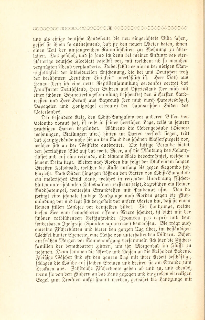 cx:00000000mcxx:000000036 OGZ£;0\;OQOGO\jQQO\jÜOOOOG unb als einige beutle ßanbsleute bie neu eingerichtete Silla faßen, gefiel fie ihnen fo auSncßmcnb, baß fic ben neuen Bieter baten, ihnen einen £cil ber umfangreichen Säumlicßfeiten gur ©oßnung gu über* taffen, ©aS gefeßaß, unb fo fanb ich kenn bei meiner ©rfunft baS vier* blätterige beutfehe Kleeblatt bafclbjt vor, mit welchem ich f° manchen vergnügten Slbenb verplaubcrte. ©abei fehlte eS nie an ber notigen ©an* nigfaltigfeit ber inbivtbuellen ©rfeßauung, bie bei uns ©eutfeßen troß ber berühmten „beutfeßen Cinigtcit unerläßlich ift. äperr Sotß aus j)anau (bem ich eine nette Septilienfammlung verbände) vertrat baS granffurter ©eutfeßlanb, .Sperr <3ußren aus DftfrieSlanb (ber mich mit einer fronen ©cßmetterltngSfammlung befeßenfte) ben äußerften Sorb* weften unb jperr Oerath aus Sapreutß (ber mich bureß ßJarabieövogel, Papageien unb Honigvögel erfreute) ben bajuvarifeßen ©üben beS SatcrlanbeS. ©er befonbere Seig, ben ©ßifHSungalow üor anberen Sillen von Colombo vorauf hot/ ift tcilö in feiner herrlichen Sage, teils in feinem prächtigen ©arten begrünbet. ©äßrenb bie Sebengebäube (©iener* woßnungen, ©tallungen ufw.) hinten im ©arten verftccft liegen, tritt baS ftauptgebäube nahe bis an ben Sanb beS fchbnen ©afferfpiegelS vor, welcher fich an ber ©eftfeite ausbreitet. ©ie luftige Sßeranba bietet ben ßerrlicßften Slict auf baS weite ©eer, auf bie ©ünbung beS Jtclanp* fluffeS unb auf eine reigenbe, mit bießtem ©alb bebedte gnfel, welche in feinem ©elta liegt, ©eitcr nach Sorben hin folgt ber Slid einem langen ©treifen ätofoSwalb, welcher bie jt'üfte entlang bis gegen Segombo fich ßingteßt. Sach ©üben hingegen floßt an ben ©arten von ©ßift*S3ungalow ein malerifcßeS ©tüd ßanb, welches in reigenber Unorbnung gifeßer* f;ütten unter fcßlanfen dtofoSpalmen gerftreut geigt, bagmifeßen ein Heiner Subbßatempel, weiterhin ©tranbfelfen mit ß)anbanuS ufw. Soti ba fpringt eine fcßmalc fanbige ßanbgunge nach Sorben gegen bie gluß* münbung vor unb legt fich bergeftalt vor unfern ©arten hin, baß fie einen Hetnen ftillen Sanbfee vor bemfelben bilbet. ©ie Sanbgunge, welche biefen ©ee vom benachbarten offenen ©eere fcheibet, iß bicht mit ber feßonen rotblühenben ©ctßfußwtnbe (Ipomoea pes capri) unb bem fonberbaren ggclgrafc (Spinifex squarrosus) bewachfen. ©ie trägt auch einzelne gifcßcrßüttcn unb bietet ben gangen ©ag über, im beftänbigen ©echfet bunter ©gcncric, eine Seihe von unterhaltenben Silbern. ©cßon am frühen ©orgen vor ©Sonnenaufgang verfammcln fich ßier bio gifeßer* familten ber benachbarten Jütten, um ißt ©orgenbab im gluffe gu nehmen, ©ann tommen bie ß)fcrbc unb Dcßfcn an bie Seihe bcS SabcnS. glcißige ©äfeßer finb oft ben gangen ©ag mit tbrer Arbeit befcßäftigt, fcßlagen bie ©äfeße auf flachen ©teinen unb breiten fic am ©tranbe gum Xrodnen aus. fBahlrcicßc gifeßerboote geßen ab unb gu, unb abenbS, wenn fie von ben gifeßern an baS ßanb gegogen unb bie großen vicrccÜgen ©egel gum ©rodnen aufgefpannt werben, gewährt bie £anbgunge mit