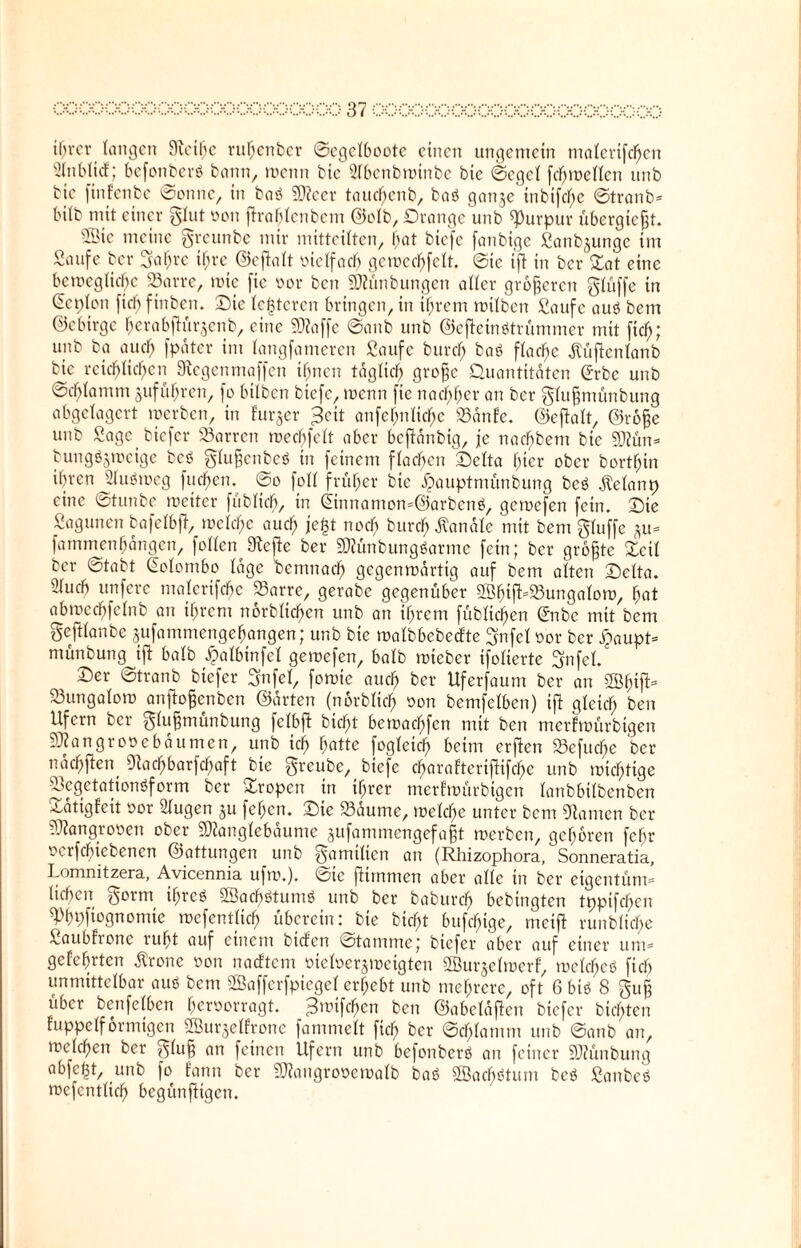 tf^vcr langen 9icif;e ruFjenber ©egcFbootc einen ungemein maFerifchcn Slnblicf; befonberö bann, wenn bic 2Fbenbwinbe bic ©cgeF fcFjweFFen unb bic finfenbe ©onne, in baö ?0?cer taucF;enb, baö ganje inbifc^c ©tranb* biFb mit einer §Fut oon fUabFcnbcm ©olb, Drange unb Purpur übergiejjt. 5Öic meine greunbe mir mitteiFten, hat biefe fanbige Saiblinge im Saufe ber ^afjrc if;re ©efiaFt vielfach gcwcchfcFt. ©te ifi in ber Qat eine bewegliche 95arre, wie fie «er ben SMnbungen alFer größeren gFüffe in Lepton fiel) finben. Die Festeren bringen, in ihrem wtlben Saufe auö beirt ©ebirge herabfiurjenb, eine 9)?affc ©aub unb ©cjleinötrümmer mit fic^; unb ba auef) fpdter im Fangfameren Saufe burch baö fFac^e dtüflcnlanb bic reichlichen 9tegenmaffen ihnen täglich grofje Quantitäten (£rbe unb ©cf;Fantm juführen, fo bitben biefe, wenn fie nachher an ber gFufjniünbung abgelagert werben, in Furier 3eit anfchnFichc S3änle. ©efiaFt, ©rofje unb Sage biefer 33arren werfjfcFt aber bcflänbig, je nachbem bte 59?ün* bungöjwcige beö gFu§cnbcö in feinem flachen Delta hier ober borthin ihren SFuäweg fuchen. ©o foFF früher bie £auptmünbung beö dlelanp eine ©tunbe weiter fiibFicb, in ©nnamon=@arbcnö, gewefen fein. Die Sagunen bafeFbjl, welche auch fc&t noch burch Kanäle mit bem gluffe *u= fammenljängen, foFIen Sftefle ber SÄünbungSarmc fein; ber größte Seit ber ©tabt CioFornbo Fage demnach gegenwärtig auf bem alten Delta, ÜFucb unfere nwFertfcfjc S3arre, gerabe gegenüber SBhifMBungaFow, hat abwechfeFnb an ihrem norbFicf)en unb an ihrem fübFichen (Jnbe mit bem geftFanbe jufammengehangen; unb bie waFbbebecfte 3nfel vor ber £flupt= münbung tft baFb £albinfeF gewefen, baFb wieber ifoFierte Sfnfcl/ Der ©tranb biefer SfnfeF, fowie auch bev Uferfaum ber an SFB^ifb- 23ungaFow anflofjenben ©arten (norbFicf) von bemfeFben) ifl gleich be” Ufern ber gFufjmünbung fcFbft bicht bewachfcn mit ben merfwürbigen SWangrovebäumen, unb ich hotte fogFeid) beim erjlen 23cfuche ber ndchflen> 9Fachbarfchaft bie greube,_ biefe charofteriflifche unb wichtige 93cgetationöform ber Dropen in ihrer merfwürbigen FanbbiFbenben Ddtigfeit vor 2Fugen ju feF;en. Die S3äume, welche unter bem tarnen ber Mangroven ober SDtonglebäume äufammengefafjt werben, gehören feF;r verriebenen ©attungen unb gamilien an (Rhizophora, Sonneratia, Lomnitzera, Avicennia ufw.). ©ic ftimmen aber aFFe in ber eigentürm lieben $orni ihreö Ü8acf)ötum$ unb ber baburefj bebingten tppifchcn 9>hpfiognomie wcfentFich überein: bie bicF;t bufchige, meifi runbliche Saubfrone ruht auf einem biefen ©tamme; biefer ober auf einer um- gelehrten Ärone von naeftem vieFver^wetgtcn ©urjeFwerf, weFcF;eö ficb unmittcFbar auö bem SBaffcrfpiegeF erhebt unb mehrere, oft 6 biö 8 gufj über benfelben hervorragt. JJwifchcn ben ©abcldfien biefer bitten fuppcFformtgen SßurjeFlrone fammeFt fich ber ©chFatnm unb ©anb an, welchen ber ^Fufj an feinen Ufern unb befonberö an feiner SJZünbung abfegt, unb fo fann ber SWangroveroaFb bab 2Bach$tum beö Sanbeö wcfentFich begünftigen.