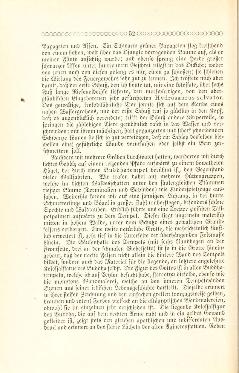 Papageien unb Slffcn. Sin ©cbmarnt grüner Papageien flog fretfcbenb oon einem f;o^en, meit über baß ©jungte oorragenben 23aume auf, atß er meiner glinte anfic^tig nmrbc; unb ebcnfo fprang eine #erbe groper febmarjer Slffeti unter fnurrenbem @cfd)ret eiltgff in baß ©tcEtcbt; meber 0011 jenen noch oon biefen gelang cß mir, einen §u fefitepen; fic fefpenen bte SBtrfung beß geuergeme^rß fcl;r gut ju fennen. Sei? troftete mich aber bamit, baff ber erfte ©ci)u§, ben icf; beute tat, mir eine foloffale, über fecf;ß guf? lange SKiefenetbecbfe lieferte, ben merfmürbigen, oon ben aber* gläubigen Singcborcnen fef;r gefürchteten Hydrosaurus salvator. ©aß gcmalttge, frofobiläbnltcbe ©ter fonnte fid) auf bem IKanbe etneß naben SBaffcrgrabcnß, unb ber erffc ©ebufj traf fo glücflid) in ben Kopf, baff eß augenblidlicb oerenbete; trifft ber ©ebup anbere Körperteile, fo fpringen bie zählebigen ©iere gcmbbnlicb rafcb in baß SBaffcr unb ocr* febtoinben; mit ihrem mächtigen, hart gepanzerten unb fcf>arf febneibenben ©cbifanje fbnncti fie fiel; fo gut oerteibigen, baff ein ©ciblag beßfetben biß* metlen eine! gefährliche 2Bunbe oerurfad)cn ober fclbjl etn 23ein jer* febmettern foll. 91acbbcm mir mehrere ©raben burebmatet batten, manberten mir bureb licbtcß ©cbolz auf einem retjenben ^fabe aufmartß ju einem bcmalbetcn ipügcl, ber bureb einen 23ubbbatempel berühmt ift, ben ©egenftanb oieler Sfiallfabrtcn. Sffiir trafen babei auf mehrere £üttcrtgruppen, mclcbe im bienten SBalbcßfcbatten unter ben faulengletd)en ©tämmen riefiger 23dttme (£ermtnalten unb ©apinben) mic Kinberfpieljeuge auß* faben. Sßetterbtn famen mir auf eine fonnigerc Sichtung, in ber bunte Schmetterlinge unb iöogcl in großer (3abl umberflogen, befenberß febone ©peebte unb Söalbtauben. Snblicb führte miß eine ©reppe zmifeben ©ali* potpalmen aufmartß ju bem ©empcl. ©iefer liegt ungemein nialcrifd; mitten in fmbem Sßalbe, unter bem ©ebuge eineß gemalttgen ©ranit* felfenß oerborgen. Sine mettc natürliche ©rotte, bie mahrfcbeitiltd) fünft* lieb ermeiteit iff, gebt tief in bte Untcrfcitc ber überbangenben ^clßmaffc hinein, ©ie ©aulenballe beß ©ctnpclß (mit fcd;ß Stunbbegen an ber grontfeite, brei an ber fcbnialen ©icbelfeitc) ift fo in bie ©rotte hinein* gebaut, ba§ ber naefte Reifen nicht allein bie hintere SBanb beß ©ctnpefß bilbet, fonbern and) baß Material für bie liegenbe, an legiere angelegte Koloffalftatuebeß SSubbba felbft. ©ic gigur beß ©otteß ift in allen 33ubbba= tcmpcln, melcbc icb auf Seplon bcfucf>t habe, flercotpp biefclbc, ebcnfo mic bie monotone SSanbmaleret, mclcbe an ben inneren ©empelmanben ©jenen auß feiner irbifc^en Scbcnßgcfcbicbte barffellt. ©iefelbc erinnert in ihrer fteifen Zeichnung unb ben einfachen grellen (oorjugßmetfe gelben, braunen unb roten) Farben oiclfacb an bie altagpptifcbcn Söanbmalereien, obmobl fie im einzelnen febr ocrfd)teben iff. ©ie liegenbe Koloffalfigur beß 33ubbba, bte auf bcni rechten Sinne rubt unb in ein gelbeß ©emanb geflcibct ift, jeigt ffctß ben gleichen apatbifeben unb inbifferenten Sluß* bruef unb erinnert an baß ffarrc £äd)eln ber alten Sflginetcnffatuen. sieben