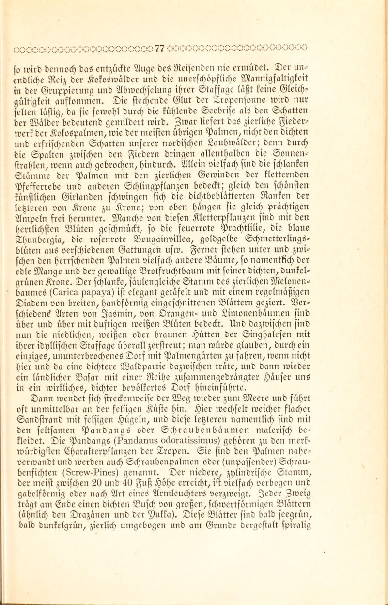 fo mirb bcnnocf) ba$ entjürftc Sluge bcS Stetfenben nie ermübet. Der un- cnbTicf>e 9teiz ber ÄofoSmdlber unb bic imcrfd)6pfüd)e STOannigfaltigfeit in ber ©ruppierung unb STbroec^fetung ihrer ©taffage tagt feine <25tcicf>= gültigfeit auffommen. Die ftecfyenbe ©lut bev Dropcnfonne roirb nur feiten luftig, ba fic foroohl burcf) bie füfjlenbe ©eebrife als ben ©chatten ber ffidlber bebeutenb gemilbert mirb. ^ruar liefert baS zierliche gteber* roerf ber ÄofoSpalmen, roie ber meiften übrigen Halmen, nid(jt ben bitten unb crfrifdffenbcn ©chatten unferer norbifcf)en Saubrodlber; benn buref; bic ©polten jmifc^en ben fiebern bringen allenthalben bic ©onnen* ftvablcn, menn auch gebrochen, funbureb. Allein vielfach finb bie fchlanfen ©tdmme ber Halmen mit ben jicrticfjen ©eminben ber fletternben ^Pfcfferrcbc unb anberen Schlingpflanzen bebedft; gleich fccn fc^onften fünftlichen ©irlanbcn fchmingen ftch bie bicf>tbcblattcrtcn Sianfen ber festeren von Ärone ju Ärotte; von oben hangen fie gleich prächtigen Simpeln frei herunter. Manche von btefen Kletterpflanzen finb mit ben bcrrlicbftcn Blüten gcfchmücft, fo bic feuerrote ^Prachtliüe, bie blaue Dhunbergia, bie rofenrote Bougainvillea, golbgclbe Schmetterlings* blüten aus verfeffiebenen ©attungen ufm. ferner flehen unter unb zun* fchen ben hcrrfcf)cnben Halmen vielfach unbere Baume, fo namentlich ber eble Sftango unb ber gemaltigc Brotfruchtbaum mit feiner bichten, bunfel* grünen dtrone. Der fchlanfe, faulengleiche ©tamm bcS zierlichen SJielotten* baumeS (Carica papaya) ijl elegant getäfelt unb mit einem regelmäßigen Diabcnt von breiten, hanbformig eingefchnittenen Blattern geziert. Ber* fehiebene* Slrten von SfaSmin, von Drangen* unb Simonenbaumen finb über unb über mit buftigen meißen Blüten bebeeft. Unb bazrvifchen finb nun bie nieblichen, meißen ober braunen Jütten ber ©tnghalefen mit ihrer ibplltfchcn ©taffage überallzerjlreut; man mürbe glauben, burch ein einziges, ununterbrochenes Dorf mit ^almengarten zu fahren, menn nicht l;ier unb ba eine biedere SBalbpartie bazmtfehen träte, unb bann mieber ein lanblicher Bafar mit einer Slcihe zufammengebrdngter Raufer uns in ein mirflicheS, bieffter bevolferteS Dorf hineinführte. Dann menbet fiel; flrccfenmcife ber 2Beg mieber zum Sftecre unb führt oft unmittelbar au ber fclftgen Küfle hin. jpicr mechfclt meicher flacher ©anbflranb mit fclftgen bügeln, unb biefe festeren namentlich finb mit ben fcltfamen ^attbangS ober ©ehraübenbdinnen malerifch be* flctbct. Die ^anbangS (Pandanus odoratissimus) gehören zu ben merf* mürbigfien @harafterpflanzen ber Dropen. ©ic finb ben ^almen nahe* vermanbt unb merben auch ©chraubenpalmen ober (unpaffenber) ©cf;rau* bcnfichten (Screw-Pines) genannt. Der ntebere, zplmbrtfcbc ©tamm, ber tneift zmifd)en 20 unb 40 guß ipohe erreicht, ift vielfach verbogen unb gabelförmig ober nach Slrt eines SlrmlcuchterS verzmeigt. 3ebcr (3meig tragt am ©tbe einen bichten Bufcl) von großen, fcfjmertformigen Blattern (ähnlich ben Drazanen unb ber S)uffa). Dicfe Blatter finb halb feegrütt, halb bunfelgrün, zierlich umgebogen unb am ©runbe bergcflalt fpiraltg