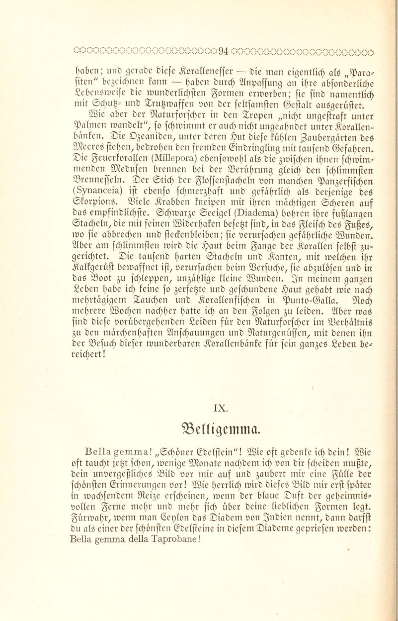 Baben; unb gerate biefe jtoralleneffer — bic man eigentlich alö „^ara- fiten bezeichnen fann — Beben burch 21npaffung an ihre abfonbcrltche ßebenötoeife bic munbcrlichften formen erworben; ftc finb namentlich mit @chu|- unb &ru|ioaffcn oon ber feltfamflen ©eflalt auögerüftet. 2öie aber ber 91aturforfcBcr in ben Tropen „nicht ungeftraft unter ^Palmen manbclt, fo [chrotmmt er auch nicht ungeahnbet unter Korallen- banfen. Die D^eaniben, unter beren £>ut biefe fühlen ^aubergarten beö 9Äeere$ flehen, bebrohen ben fremben Etnbrtngltng mit taufenb ©efahren. £>ie geuerforallen (Millepora) ebenfomohl alö bie jmifchen ihnen fdf>toim= menben SJtebufen brennen bei ber S3erüfjrung gleich freu fchlimmften 33renneffeln. ©er ©tief) ber gloffcn (lächeln oon manchen ^anjerftfehen (Synaneeia) ift ebenfo fchmerzhoft unb gefährlich alö berjenige beö ©forptonö. ®tclc Krabben fneipen mit ihren mächtigen ©eiferen auf baö empftnbltchfle. ©dfmarzc ©ceigcf (Diadema) bohren ihre fufjlangen ©tackeln, bie mit feinen üffiiberhafcn befefet finb, in baö gleifcf) beö guf^eö, mo fte abbrechen unb fledfenbletben; ftc oerurfacf)en gefährliche SSunben. Slber am fchlimmften wirb bic J>)aut beim gange ber Korallen felbft ju- gerichtet, ©ic taufenb horten ©tacheln unb kanten, mit weichen ihr Äalfgerüft bemaffnet ift, oerurfaeffen beim 23erfuche, ftc abjulofen unb in baö S3oot ju fchleppen, unzählige fleine -Shtnben. gn meinem ganzen Sehen Babe ich feine f° Zerfef3te ur>b gefchunbene Apatit gehabt tute nach mehrtägigem ©aueffen unb Äorallenfifchen in 93unto=@alla. 3Rocf> mehrere 2£od)en nachher hotte ich on ben golgen zu letben. 21ber maö finb btefe oorübergehenben Seiben für ben 5Raturforfchcr im SBcrhaltniö ZU ben märchenhaften Slnfchauungen unb Olaturgcnüffen, mit benen if;n ber S3efuch btefer munberbaren ^orallenbanfe für fein ganzcö Sehen be¬ reichert! IX. 33etttgemma. Bella gemma! „©ebener Ebelfletn! 2öie oft gebenfe icf) beitt! 2Bic oft taucht jetst fchon, wenige SDlonate nachbem ich °en bir fehetben muffte, betn unoergeffltcheö 23ilb oor mir auf unb zaubert mir eine gütlc ber fcffonflen Erinnerungen oor! 2Sie herrlich toirb biefeö 23ilb mir erft fpatcr in roachfenbem 9Ietze erfcheinen, roenn ber blaue ©uft ber geheintniö* oollcn gerne mehr unb mehr ftch über beine lieblichen gönnen legt, gürmaffr, roenn man Eeplon baö ©tabent oon gnbien nennt, bann borfft bu alö einer ber fchonften Ebelfletne in biefent ©iabente gepriefen toerben: Bella gemma della Taprobane!