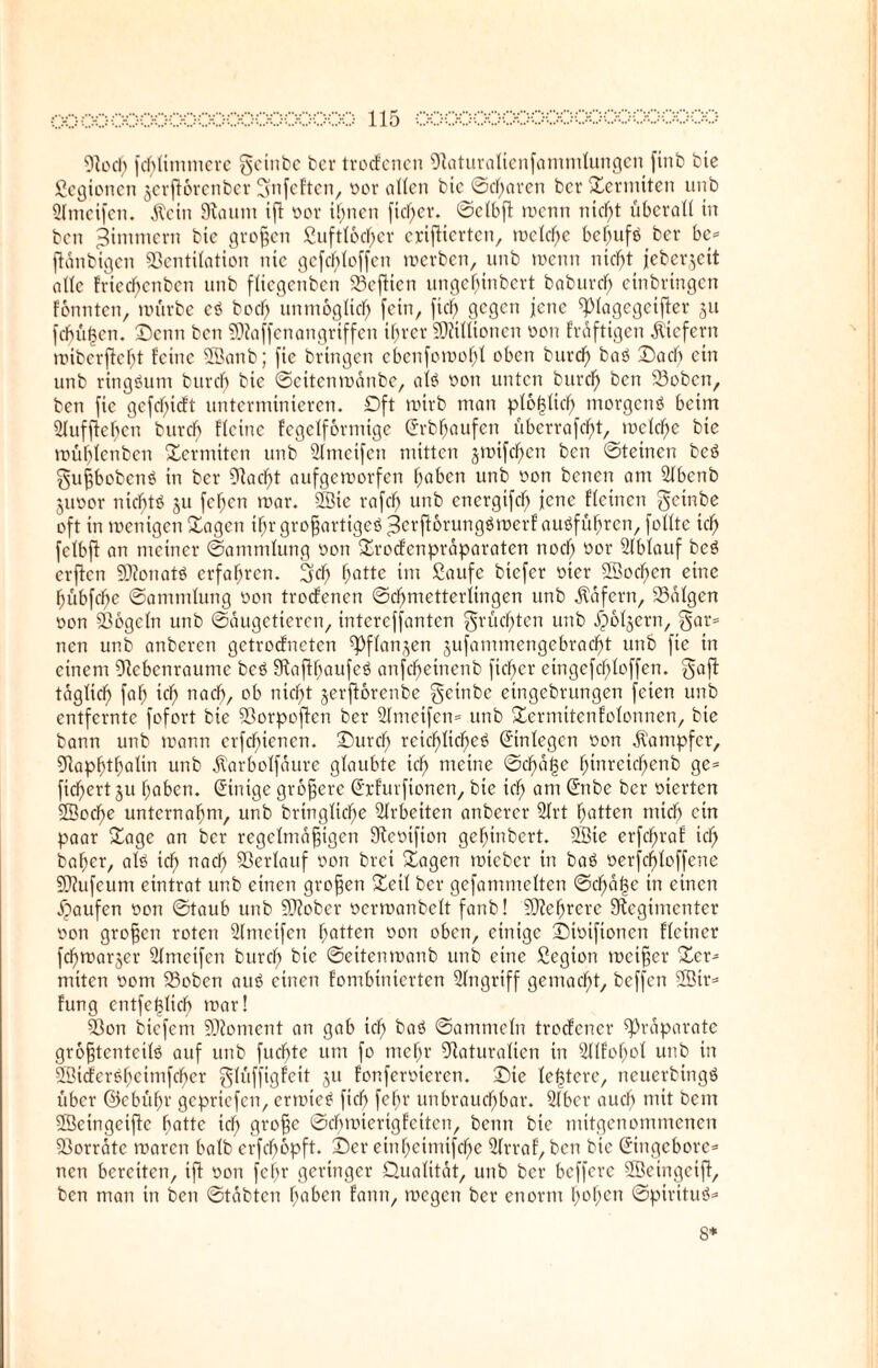 Roch fcblitnmcrc geinbe bei* trocfenen Raturaltenfammlungen ftnb bie Segionen jerjloretibcr gnfcften, oor ollen bic ©cf)aren ber Termiten unb Slmeifen. $etn Raum ift oor ihnen fieser, ©clbfl menn nicf)t überall in ben ^mmern bie großen £uftlod)er crifücrtcn, mclcf)e behufs ber be= fldnbigcn Ventilation nie gefebfoffen merben, unb menn nicht jeberjeit alle fried)enben unb fliegenben Vefticn ungefjinbert baburd) etnbrtngen fonnten, mürbe eS bod) unmöglich fein, fiel) gegen jene ^lagegeifler 31t fehlten. Senn ben SRaffenangriffen ihrer Millionen oon fraftigen liefern roiberfte^t feine SEanb; fic bringen cbenfomofjl oben burcf) baS Sad) ein unb ringsum burcf) bie ©eiten manbe, als oon unten burdf) ben Vobcn, ben fic gefd)icft unterminieren. Dft roirb man plofcHcf) morgens beim 3fufflef)en burcf) flcitic fcgclformige (Jrbhaufen überrafefjt, mclcf>e bie müfdenben Termiten unb 21metfen mitten jmtfcf^cn ben ©tetnen bcS gußbobcnS in ber Rad)t aufgeroorfen haben unb oon benen am 2fbenb juoor nichts 311 fefjcn mar. 9öie rafdf) unb cnergtfcf) jene flcincn geinbe oft in wenigen Sagen ifjr großartiges >3crft6rungSmerf auSfüf)rcn, folltc td) fclbfl an meiner ©ammfung oon Srocfcnprdparaten noef) oor 2lblauf beS erflcn RfonatS erfahren. 3df) hatte im Saufe btefer oier 2Öodf)en eine f)übfcf>e ©ammfung oon troefenen Schmetterlingen unb Käfern, Vdlgen oon Vögeln unb Saugetieren, intereffanten grüd)ten unb .Sporern, gar= nen unb anberen getroefneten ^Pfla^en 3ufammcngebrad)t unb fie in einem Rebenraume bcS RaflhaufeS anfd)einenb fieser eingefd)loffen. gaff täglich faf) icf) nach, ob nid)t 3erfibrenbc geitibe eingebrungen feien unb entfernte fofort bie Vorpoftcn ber 2(mcifcn= unb Sermitenfolonnen, bie bann unb mann crfd)ienen. Surdf) reichliches ©nlegen oon Dampfer, Rapfühalin unb jtarbolfdure glaubte ich meine ©cf)df5e hinrcichenb ge= fichert 311 haben. Einige größere (ü'rfurfionen, bie ich am ^mbe ber oterten 2Bccf)e unternahm, unb bringlid)e Arbeiten anbercr 21rt hatten mich ein paar Sage an ber regelmäßigen Reoifton gef)inbert. 2Bie erfchraf icf) baf)cr, als ich nacf) Verlauf oon brei Sagen mteber in baS oerfefdoffene VJufcum eintrat unb einen großen Seil ber gefammelten ©cf)df3c in einen Raufen oon ©taub unb Riober ocrmanbelt fatib! SÜ2ef)rere Regimenter oon großen roten Sfmeifen hatten oon oben, einige Siotfionen Heiner fchmar3er Sfmetfcn burch bie ©eitenmanb unb eine Segion meißer Ser- nuten ootu Voben aus einen fombinierten Angriff gemacht, beffen 2Bir= fung entfefdid) mar! Von btefem SRoment an gab ich baS ©ammein trodfener Rraparatc größtenteils auf unb fuebte um fo mehr Raturalten in 31lfof)oI unb in SVicferShcimfcher glüffigfeit 31t fonferoieren. Sie letztere, neuerbingS über ©cbüf)r geprtefen, ermieS fiel) fef)r unbrauchbar. 2fbcr auef) mit bem Vkingeifte batte icf) große ©cbmierigfeiteu, beim bie mitgenommenen Vorräte maren halb crfdwpft. Ser einf)ctmifche 21rraf, ben bic Grtngebore* nen bereiten, ift oon fcf)r geringer Qualität, unb ber beffere VJeingeiff, ben man in ben ©tdbtcn haben fann, megen ber enorm f)of)en ©pirituS* 8*
