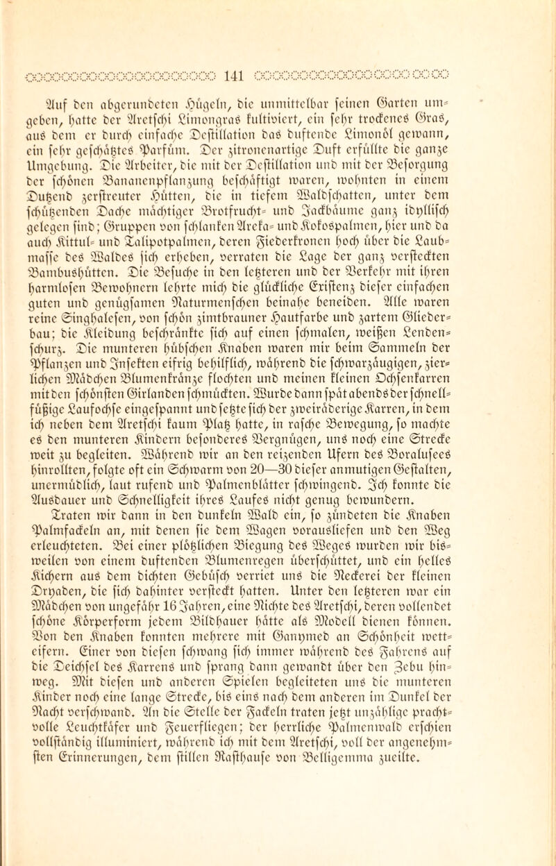 '2Uif bcn abgerunbeten jjugeln, bic unmittelbar feinen ©arten um- geben, batte ber Slretfclfi Sintongraö tultiöiert, ein feffr trodcncö ©raö, auö bem er btircb einfache Sefüllation baö buftenbe Simon61 gewann, ein [el)r gefehltes Parfüm. Ser jitronenartige Suft erfüllte bie ganje Umgebung. Sie Arbeiter, bie mit ber Sefüllation unb mit ber Seforgung ber feftonen Sanattenpflanjung befebaftigt roaren, wohnten in einem Sußcnb jerflreuter Jütten, bie in tiefem 2Balbfcf>attcn, unter bem fcbü(3cnbcn Sache mächtiger Srotfrucbt* unb ^adbdume ganj ibtjllifc^ gelegen finb; ©ruppett von fcblanfcn SIrcPa= unb Ä'ofoäpalmcn, hier unb ba auch Äittul* unb Salipotpalmen, beren gteberfronen boef) über bie fiaub* maffc beö SBalbeä fiel) erbeben, verraten bie Sage ber ganj »erfkdten Sambuöbüttcn. Sie 33e[ucf>e in ben letzteren unb ber 93ertchr mit ihren barmlofen Sewobnern lehrte mich bie gtüdlicbe ©ciftenj biefer einfachen guten unb genügfamen ütaturmenfeben beinahe benetben. Sille waren reine ©ingbalcfcn, »on fdftotr jimtbrauner Hautfarbe unb jartem ©lieber* bau; bie jtlcibung befebrantte fich auf einen fcfnnalen, meinen Senben= feburj. Sic munteren bribfcbcn dtnaben waren mir beim ©ammein ber ^Pflanjen unb üjnfeften eifrig behilflich, wahrenb bie fchwarjdugigen,5ter= liehen Stäbchen Slumenfranje flochten unb meinen fletnen Dchfenfarren mit ben fcf)6nften ©irlanben fehmüeften. SBurbe bann fpatabenbö ber fcf)nell* füfjtgc Saufocbfe eingefpannt unb fc^tcfich ber jwetrdberigeDarren, in betn ich neben bem Slretfcbi faum ^)lab hatte, in rafchc Bewegung, fo machte eö ben munteren $inbern befonbereö Vergnügen, unö noch cine ©trede weit ju begleiten. Sßäbrcnb wir an ben retjenben Ufern bcö Soralufeeö binrollten, folgte oft ein ©chwarm »on 20—30 biefer anmutigen ©eftalten, unermüblich, laut rufenb unb Halmen blätter fchwingenb. 2üb konnte bie 21u£baucr unb ©cbnelligtcit ifjreö Saufet nicht genug bewunbern. Sraten wir bann in ben buntein 2Balb ein, fo jünbeten bic Knaben ^almfacfeln an, mit benen fie bem Sßagcn »orauöliefen unb ben 28eg erleuchteten. Set einer plötzlichen Siegung beö 2öcgeö würben wir btö* weilen »on einem buftenben Slumenregen überfchüttet, unb ein beließ Sichern au$ bem btchten ©ebüfeh »erriet unö bie Rederei ber ticinen Srpaben, bic fiel; ba hinter »erftedt batten. Unter ben letzteren war ein Habchen »on ungefähr 16 fahren, eine Oticbte bcö 2lrctfcbi, bereit »ollenbet feffone Äorperform jebent Stlbbauer batte ale SÜJobell bienen tonnen. Son ben Knaben tonnten mehrere mit ©anpmeb an ©chonbett wett* eifern. Einer »on biefen fchwang fich immer wahrenb beö gabrenö auf bie Setcbfcl be£ jtarrcnö unb fprang bann gewanbt über bett $ebu bin* weg. 5DJit biefen unb anbercit ©ptelett begleiteten und bic munteren dünber noch »ine lange ©tredc, bid etnö nach bent anberen int Suttfel ber 91acht »erfd)manb. 31tt bie ©teile ber Radeln traten je^t unjabligc praebt* »olle Seuchtfafcr unb geuerfliegen; ber herrliche Valutentoalb erfdfnen »ollftdnbig illuminiert, wahrenb ich mit bent 3(retfcbi, »oll ber angenehm* ften Erinnerungen, bent füllen 9taftbaufe »on Selltgemnta jueilte.