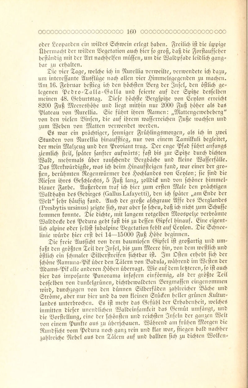 ober ßeoparbert ein milbeS ©cbmcin erlegt haben. freilich ift bie üppige Übermacht ber milben Vegetation au cf) l)ier fo groß, baß bie ^orflauffeher beflänbig mit ber 21rt nacf)f;elfen muffen, um bie 5Balbpfabc leiblich gang* bar 511 erhalten. Die oicr Sage, roelcffe tef) in 9lurellta oermeiltc, oermenbete id) baju, um intereffante 2IuSflüge nad) allen oicr IMmmelsgegcnben ju machen. 21m 16. gebruar beflieg icf) ben Imcbflen Verg ber 3nfel, ben ofllid) ge* legenen sPebro*Salla*@alIa unb feierte auf ber ©pifee bcsfelbcn meinen 48. ©eburtstag. ©iefc f)6cf;fle Vergfpiße oon Eeplon erreicht 8200 §uß 50?ccrcsF)6f)e unb liegt mithin nur 2000 guß fybfycx als baS Plateau oon Vuretlia. ©ie fuhrt ihren Flamen: „Vlattengcmcbeberg oon ben oielcn Vtnfen, bie auf ihrem mafferrcicf)cn 0uße machfen unb 311m ©eben oon Vlatten oenoenbet merben. Es mar ein prächtiger, fonniger grüblingSmorgcn, als ich in 31001 ©tunben oon Vurellta hinaufflieg, nur oon einem Samilhili begleitet, ber mein Vlaljeug unb ben ^prooiant trug, ©er enge Vfab führt anfangs jiemlidf) fteil, fpäter fanftcr aufmartS; faßt bis 3ur ©piije burcf) bichten 5Balb, mehrmals über raufcf)enbe 23ergbdcf>e unb Heine SÖafferfalle. ©aS SJlerfmürbigfte, maS ich beim ijinauffleigen fanb, mar einer ber gro* ßen, berühmten SKegenmürmer beS .<3ocf)lanbeS oon Ecplon; fie finb bie Stiefen ihres ©efd)led)tS, 5 guß lang, jollbtcf unb oon fdfoner himmcl* blauer garbe. Slußcrbcm traf ich hier 3um erflen Vlale ben prächtigen 2Balbhaf;n beS ©ebirgeS (GallusLafayetti), ben ich fpdter „am Enbe ber SBclt fehr häufig fanb. 2Iud) ber große afchgraue 21ffe beS VergtanbeS (Presbytis ursinus) jetgte fiel), mar aber fo fd)cu, baß ich niebt 311m ©chuffe fommen fonnte. ©ie bichtc, mit langem rotgelben SKooSpelje oerbrämte 2Batbbecfe beS spebura geht fafl bis ju beffen ©tpfel hinauf. Eine eigent* lieb alpine ober felbfl fubalpinc Vegetation fehlt auf Eeplon. ©ie ©chnce* linie mürbe hier erfl bet 14—15000 §uß £6lje beginnen. ©ie freie 21uSfidf)t oon bem baumlofen ©ipfel ift großartig unb um* faßt ben größten Seil ber Sfnfel, bis jum SKeere hin, oon bem mefllich unb oflltch ein fcf)malcr ©ilberjlretfen fichtbar ifl. 3m Dflcn erhebt fich ber febone 9lamuna*^>if über ben Salem oon Vabula, mabrenb im 3Bcflen ber 3fbamS*$pif alle anberen Rolfen überragt. SBie auf bem lefcteren, fo ifl auch hier baS impofante Panorama infofern einförmig, als ber größte Seil beSfelbcn oon bunfclgrünen, bicf)tbcmalbcten Vergmaffen eingenommen mirb, burch3ogen oon ben bünnen ©ilberfaben zahlreicher Vacbe unb ©trome, aber nur hier unb ba oon fleinen ©tüclen heller grünen Kultur* lanbeS unterbrochen. ES ifl mehr baS ©cfübl ber Erhabenheit, mclcbeS inmitten biefer uncnblicben Söalbeinfamfeit baS ©emüt umfangt, unb bie Vorftcllung, eine ber fcfmnflcn unb rcicbflen 3nfeln ber ganjen 58eU oon einem fünfte aus 3U überfchauctt. SEBdhrenb am frühen borgen bie SHunbficht 00m ^ebura noch ganj rein unb flar mar, fliegen halb nachher Zahlreiche Giebel aus ben Salem auf unb ballten fiel; 311 bichten SBolfen-