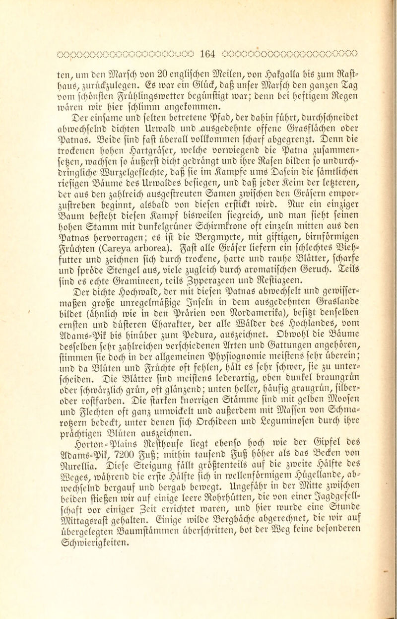 ten, um bcn SQtaifcl) oon 20 cngftfchen Stetten, oon $afgat(a btö jurn 9lafl= fjauö, jurüd^ufegen. mar ein ©fücf, bö§ unfer Sßtorfch ben ganjen ©ag oont fdfmnßen grüfßtngömetter bcgunfHgt mar; beim bei heftigem liegen mären mir fßer fchfimm angenommen. ©er einfame unb feiten betretene ßJfab, ber bafnn führt, burchfcfmctbet abmed)fcfnb bienten Urmafb unb auögcbefmte offene ©raöffächen ober ßäatnat). Scibc finb faft überall ooüfommen fdfarf abgegren^t. ©enn bie trodfenen hoffen jjartgräfer, mefd)e oormtegenb bie ß)atna jufammen* feßen, macfßen fo äußerß hießt gebrängt unb ißre Stafcn hüben fo unburdf* bringtidf>e 2Bitrjefgeffed)te, baß fte im Kampfe umö ©afeitt bie färntlicpen riefigen Säume bet) Urmafbeö beftegen, unb baß jeber .Keim ber {enteren, ber aut) ben jafjlreicf) auögeßreuten ©amen jmifc^en bcn ©räfertt empor* jufireben beginnt, alöbatb oon biefen erftieft mirb. 9tur ein einziger Saum befielt biefen .Kampf btömeücn fiegretef), unb man ftefß feinen flogen Stamm mit bunfefgrüner ©d)irmfrone oft etnjefn mitten aut) ben ß)atnaö ^eroorragen; cö ift bie Sergmprte, mit giftigen, bimförmigen grüßten (Careya arborea). gaß alle ©räfer liefern ein fcf)Iecf>teö Sieh* futter unb jeießnen fid> bureß troefene, harte unb rauhe Sfätter, fcßarfe unb fprobe ©tengef au$, rnefe jugfeieß bureß aromaüfeßen ©erueß. ©eiB finb eS eeßte ©ramtneen, teils ^pperajecn unb 5Reßta$een. ©er btcf)tc äjocßmafb, ber mit biefen ß)atnaö abmeeßfeft unb gemiffer* maßen große unregeimäßige Unfein in bem auSgebeßnten ©raöfanbe hübet (äßnftcß mie in ben Prärien oon Sorbanterifa), beftfjt benfetben ernßcn unb büfteren (Eßarafter, ber aüe Söäfber beö .£>ocßfanbe$, üont Sfbamt)*ß3tf biö hinüber jutn ß^ebura, auöjeicßnet. Dbmoßf bie Säume beöfeiben feßr jahfreteßen oerfeßiebenen Wirten unb ©attungen angeboren, ßimnten fte boeß in ber aügcmcinen ßfßpfiognomte meißen« feßr überein; unb ba Slüten unb grüeßte oft fehlen, hält et) feßr ferner, fic 3U unter* fReiben, ©ie Slätter finb meinen* ieberartig, oben bunfel braungrün ober fcf)märjiid; grün, oft gtänjenb; unten feiler, häufig graugrün, füber* ober roßfarben. ©ie ßarfen fnorrigen ©tämmc finb mit gelben SDioofen unb gfeeßten oft gan* ummicfclt unb außerbent mit Waffen oon ©eßma* roßern bebcd't, unter benen fieß ©rcßtbeen unb fiegumtnofen burcf) ißre prächtigen Siütcn augjeicßnen. £orton*ß)IaiiB SRcßßoufe liegt ebenfo hoch mie ber ©ipfei bet) 2(bamt)*ß>if, 7200 guß; mithin taufenb guß ßißer alt) bat) Sccfen oon giureüia. ©iefe Steigung fäüt größtenteils) auf bie jmeite Raffte bet) ©eget), mäßrenb bie erße Raffte fief) in meüenforniigem jpügetfanbe, ab* mecßfelnb bergauf unb bergab bemegt. Ungefähr in ber 9)iittc jmifeßen beiben ßießen mir auf einige ieerc gtoßrßütten, bie sott einer Sagbgcfcfl» feßaft oor einiger 3°ü errichtet maren, unb hier mürbe eine ©tunbe SOttttagäraß gehaften. ©lüge mifbc Sergbäche abgerechnet, bie mir auf übergefegten Saumßümmcn übcrfchrittcn, bot ber 2Beg feine befonberen ©cßmicrig fetten.