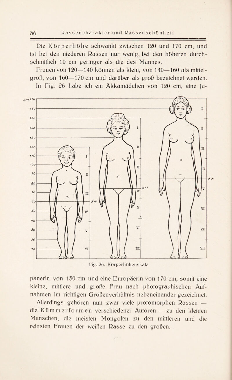 Die Körperhöhe schwankt zwischen 120 und 170 cm, und ist bei den niederen Rassen nur wenig, bei den höheren durch¬ schnittlich 10 cm geringer als die des Mannes. Frauen von 120—140 können als klein, von 140—160 als mittel¬ groß, von 160—170 cm und darüber als groß bezeichnet werden. In Fig. 26 habe ich ein Akkamädchen von 120 cm, eine Ja¬ panerin von 150 cm und eine Europäerin von 170 cm, somit eine kleine, mittlere und große Frau nach photographischen Auf¬ nahmen im richtigen Größenverhältnis nebeneinander gezeichnet. Allerdings gehören nun zwar viele protomorphen Rassen — die Kümmerformen verschiedener Autoren — zu den kleinen Menschen, die meisten Mongolen zu den mittleren und die reinsten Frauen der weißen Rasse zu den großen.