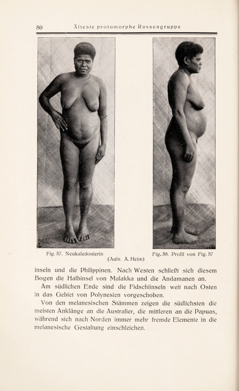 Fig. 57. Neukaledonierin Fig. 58. Profil von Fig. 57 (Aufn. A. Heim) insein und die Philippinen. Nach Westen schließt sich diesem Bogen die Halbinsel von Malakka und die Andamanen an. Am südlichen Ende sind die Fidschiinseln weit nach Osten in das Gebiet von Polynesien vorgeschoben. Von den melanesischen Stämmen zeigen die südlichsten die meisten Anklänge an die Australier, die mittleren an die Papuas, während sich nach Norden immer mehr fremde Elemente in die melanesische Gestaltung einschleichen.