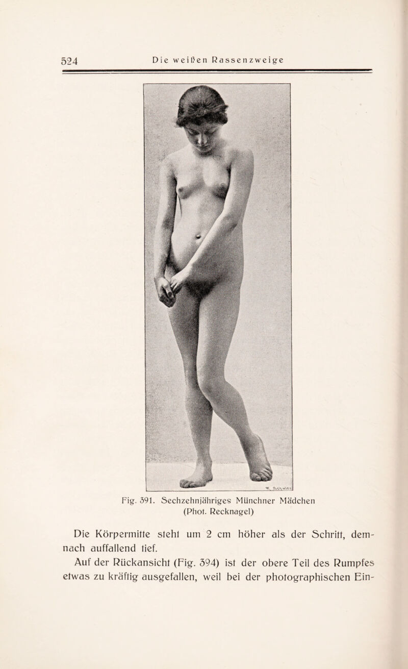 Fig. 391. Sechzehnjähriges Münchner Mädchen (Phot. Recknagel) Die Körpermille slehl um 2 cm höher als der Schrill, dem¬ nach auffallend lief. Auf der Rückansicht (Fig. 394) isl der obere Teil des Rumpfes etwas zu kräftig ausgefallen, weil bei der photographischen Ein-