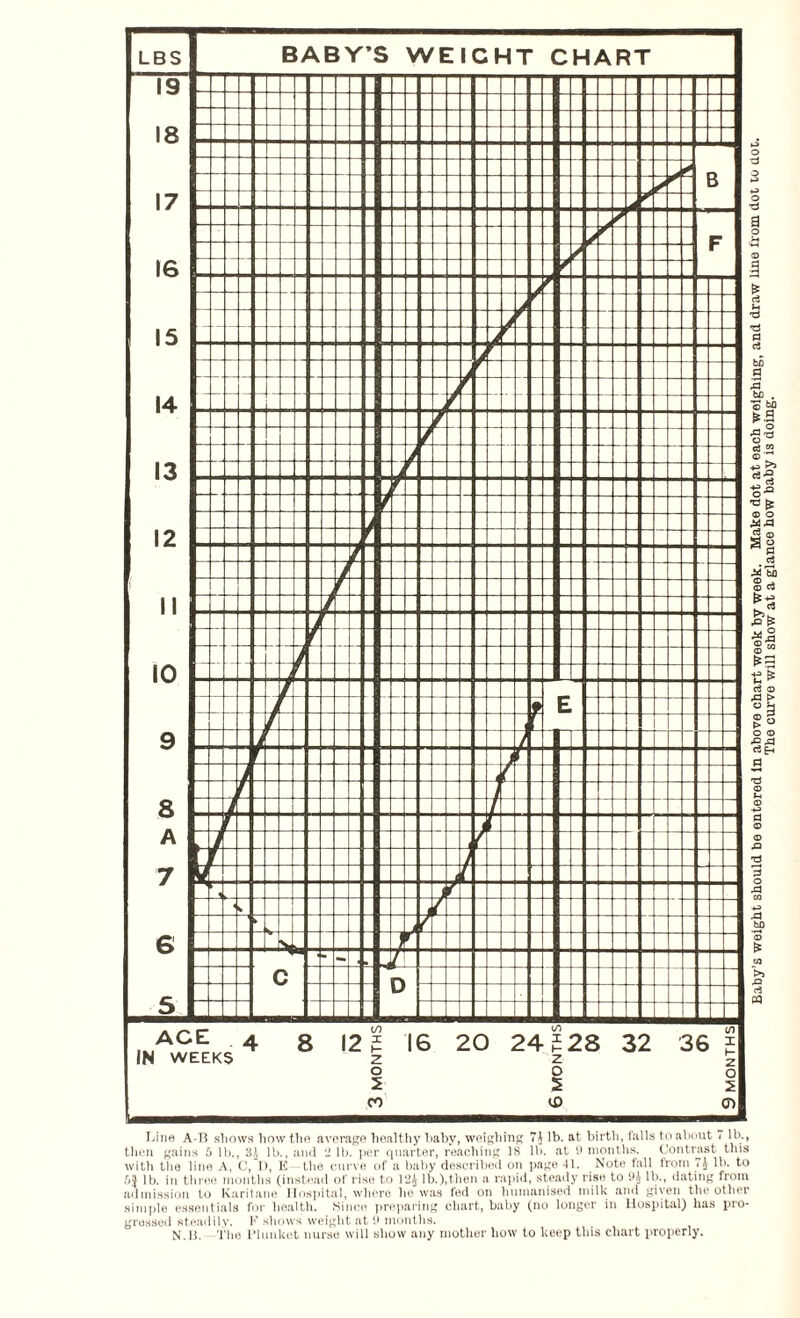 then gains 5 lb., 3A lb., and 2 lb. per quarter, reaching IS lb. at 9 months. Contrast this with the line A, C, I), E the curve of a baby described on page 41. Note fall from 7A lb. to 6| lb. in three months (instead of rise to 12£ lb.),then a rapid, steady rise to 9J lb., dating from admission to Karitane Hospital, where ho was fed on humanised milk and given the other simple essentials for health. Since preparing chart, baby (no longer in Hospital) has pro¬ gressed steadily. E shows weight at 9 months. N.B. The Plunket nurse will show any mother how to keep this chart properly. Baby’s weight should, be entered In above chart week by week. Make dot at each weighing, and draw Line from dot to dot. The curve will show at a glance how baby is doing.