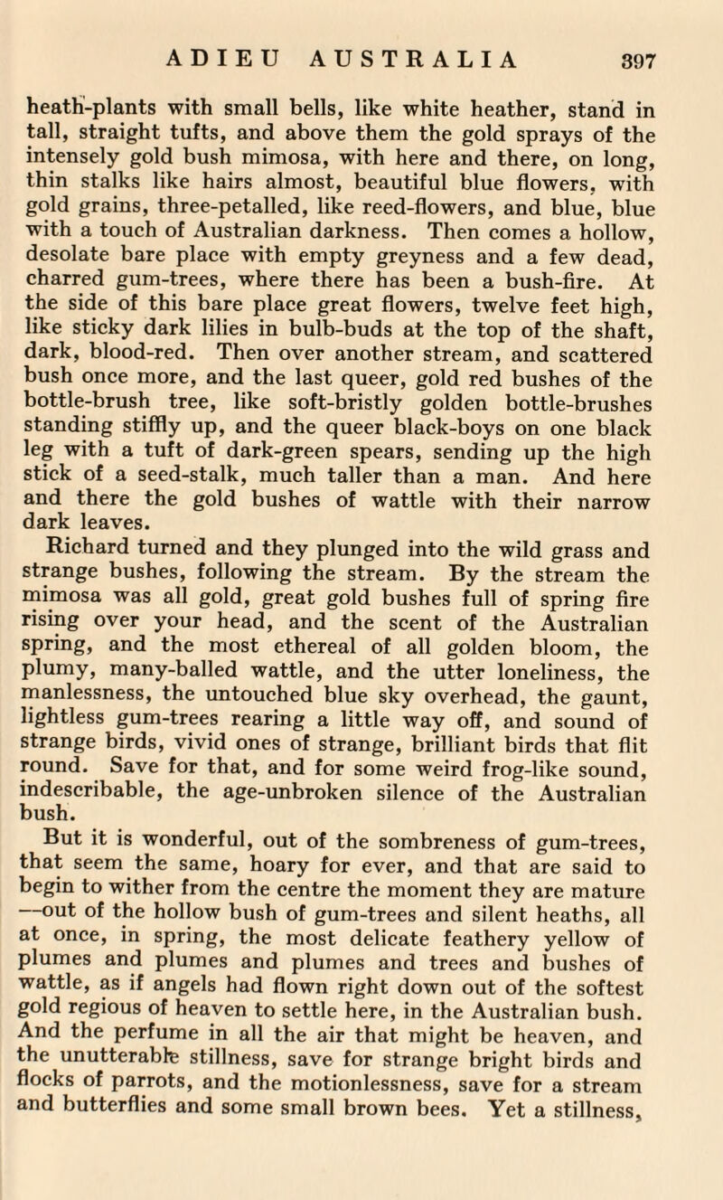 heath-plants with small bells, like white heather, stand in tall, straight tufts, and above them the gold sprays of the intensely gold bush mimosa, with here and there, on long, thin stalks like hairs almost, beautiful blue flowers, with gold grains, three-petalled, like reed-flowers, and blue, blue with a touch of Australian darkness. Then comes a hollow, desolate bare place with empty greyness and a few dead, charred gum-trees, where there has been a bush-fire. At the side of this bare place great flowers, twelve feet high, like sticky dark lilies in bulb-buds at the top of the shaft, dark, blood-red. Then over another stream, and scattered bush once more, and the last queer, gold red bushes of the bottle-brush tree, like soft-bristly golden bottle-brushes standing stiffly up, and the queer black-boys on one black leg with a tuft of dark-green spears, sending up the high stick of a seed-stalk, much taller than a man. And here and there the gold bushes of wattle with their narrow dark leaves. Richard turned and they plunged into the wild grass and strange bushes, following the stream. By the stream the mimosa was all gold, great gold bushes full of spring fire rising over your head, and the scent of the Australian spring, and the most ethereal of all golden bloom, the plumy, many-balled wattle, and the utter loneliness, the manlessness, the untouched blue sky overhead, the gaunt, lightless gum-trees rearing a little way off, and sound of strange birds, vivid ones of strange, brilliant birds that flit round. Save for that, and for some weird frog-like sound, indescribable, the age-unbroken silence of the Australian bush. But it is wonderful, out of the sombreness of gum-trees, that seem the same, hoary for ever, and that are said to begin to wither from the centre the moment they are mature out of the hollow bush of gum-trees and silent heaths, all at once, in spring, the most delicate feathery yellow of plumes and plumes and plumes and trees and bushes of wattle, as if angels had flown right down out of the softest gold regious of heaven to settle here, in the Australian bush. And the perfume in all the air that might be heaven, and the unutterable stillness, save for strange bright birds and flocks of parrots, and the motionlessness, save for a stream and butterflies and some small brown bees. Yet a stillness,